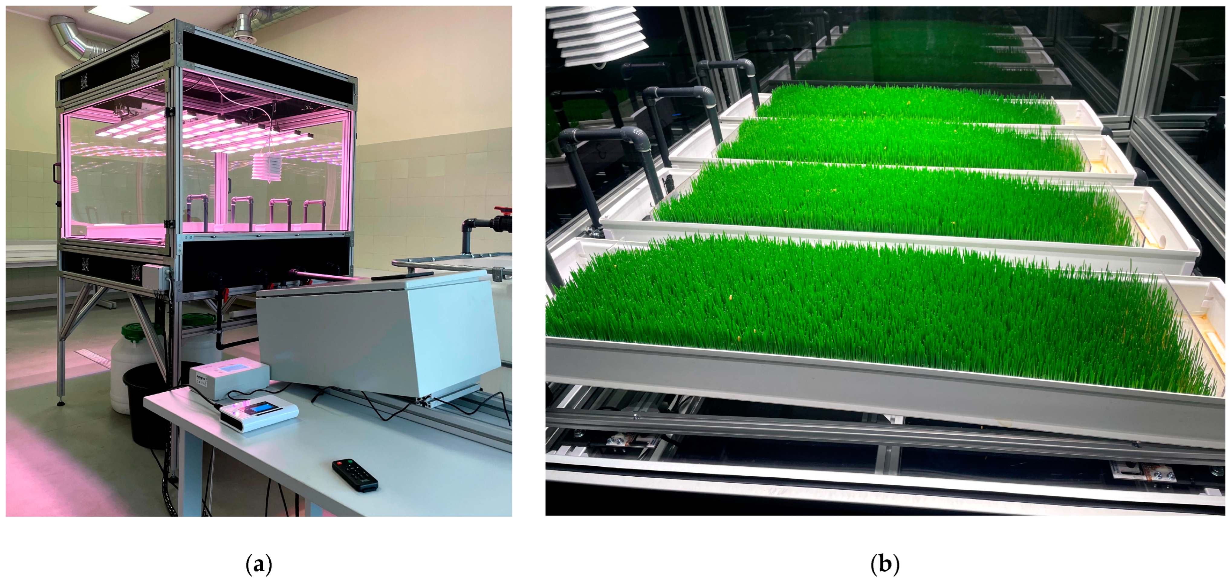 Agronomy 13 00860 g001