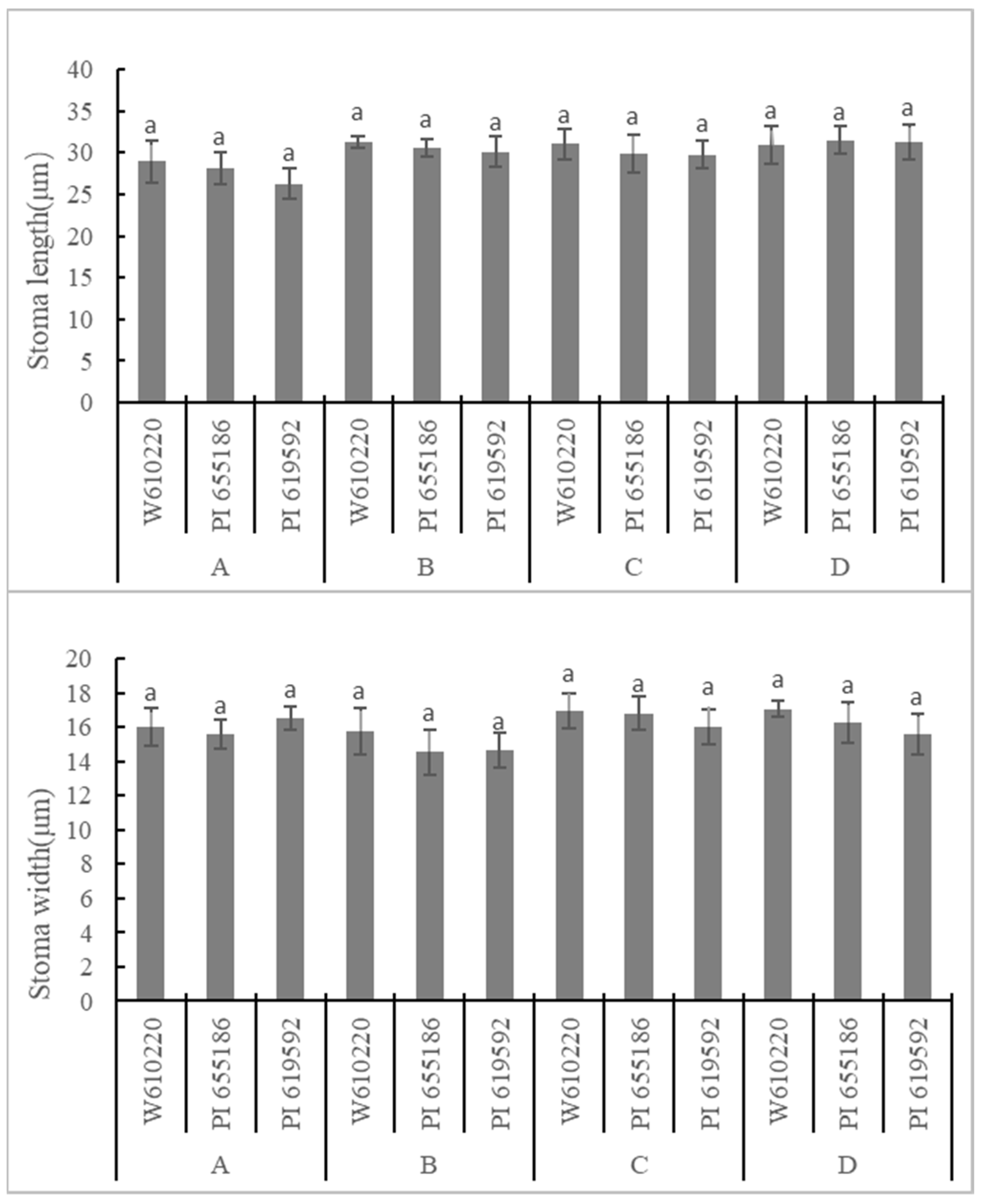 Agronomy 13 00862 g004