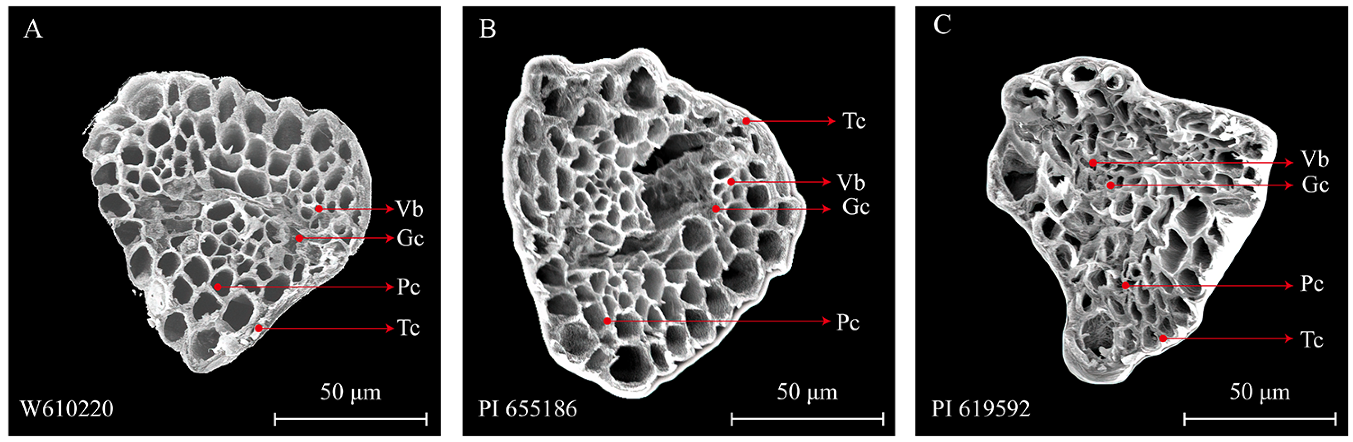 Agronomy 13 00862 g006