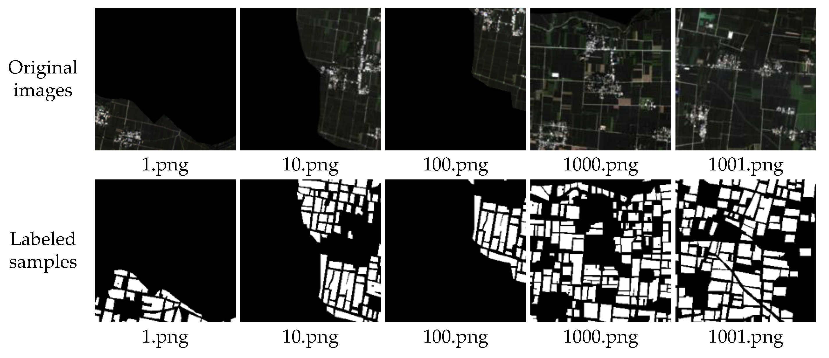 Agronomy 13 00863 g003