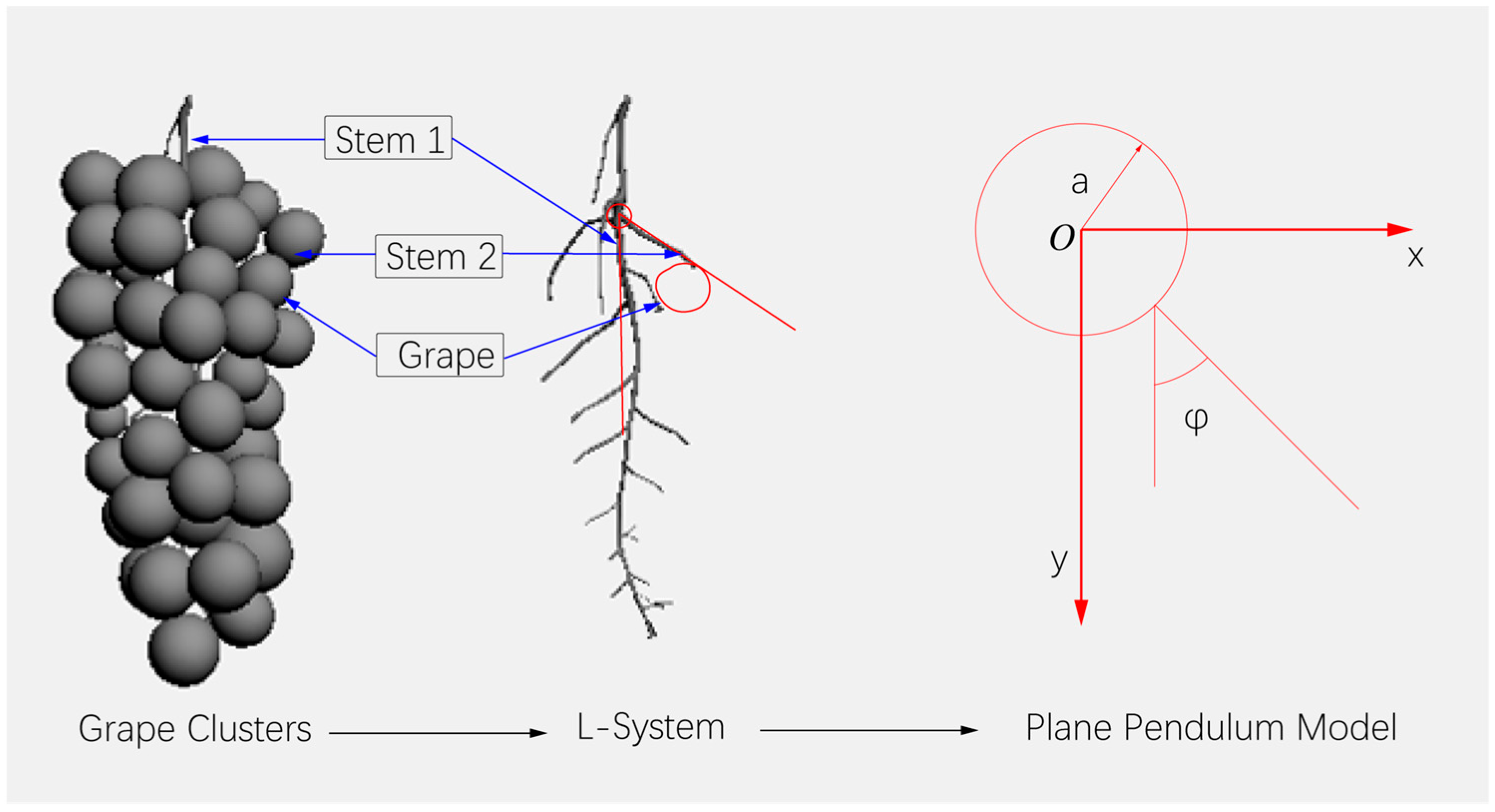 Agronomy 13 00869 g001 Agronomy 13 00869 g001