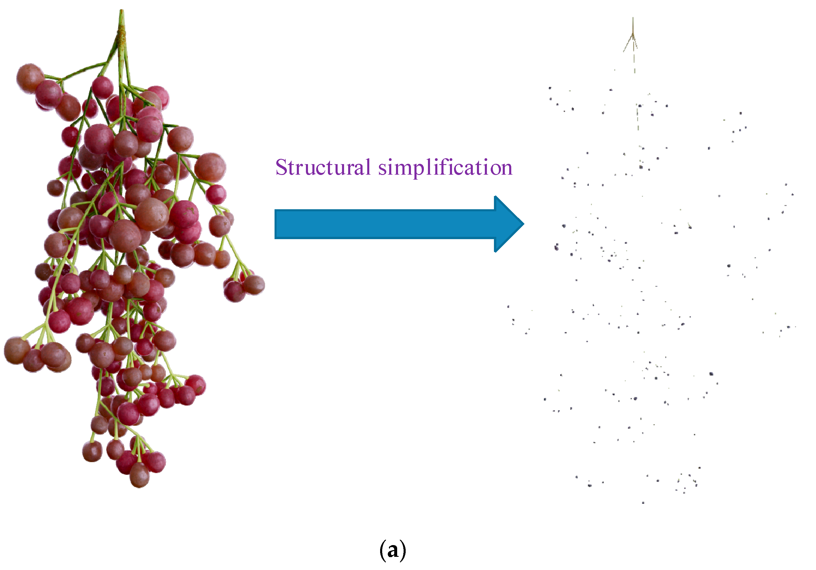 Agronomy 13 00869 g002a Agronomy 13 00869 g002a