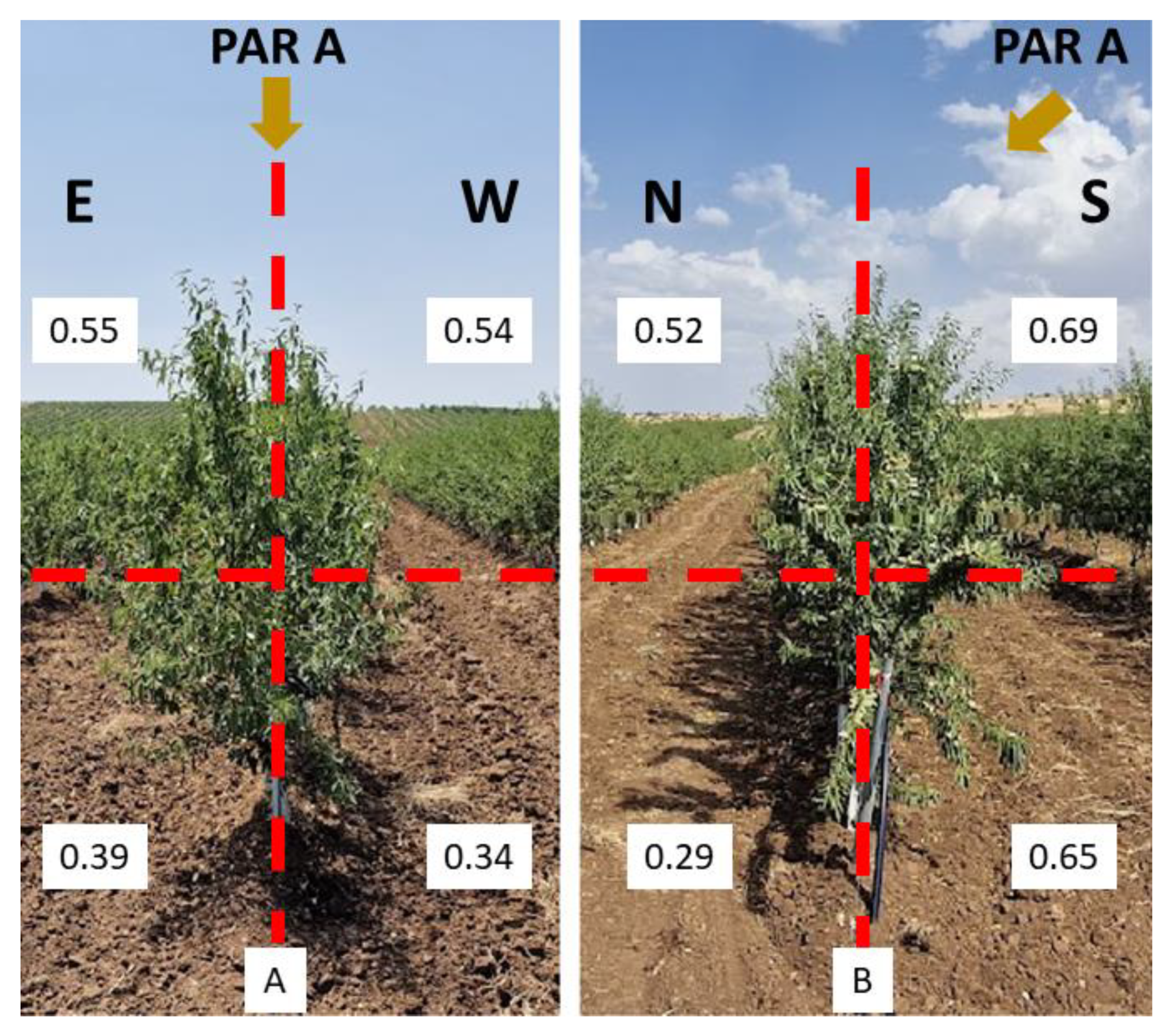 Agronomy 13 00874 g006