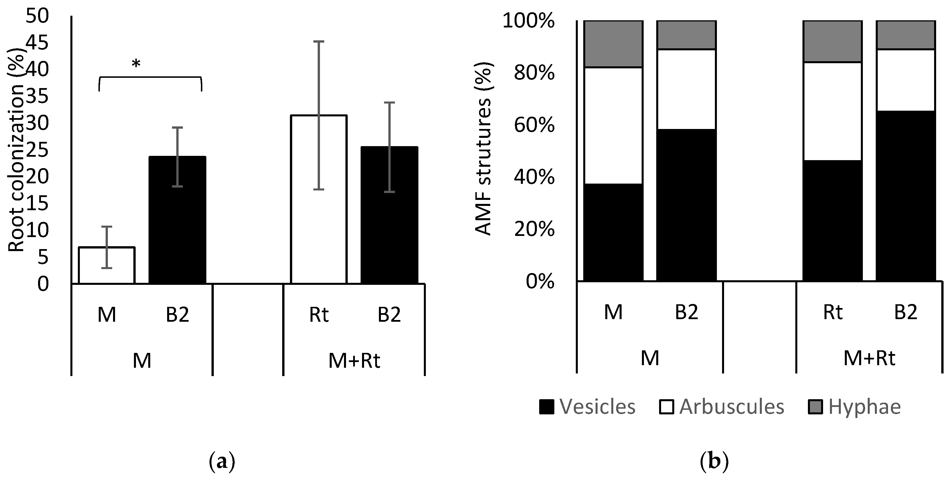 Agronomy 13 00876 g003