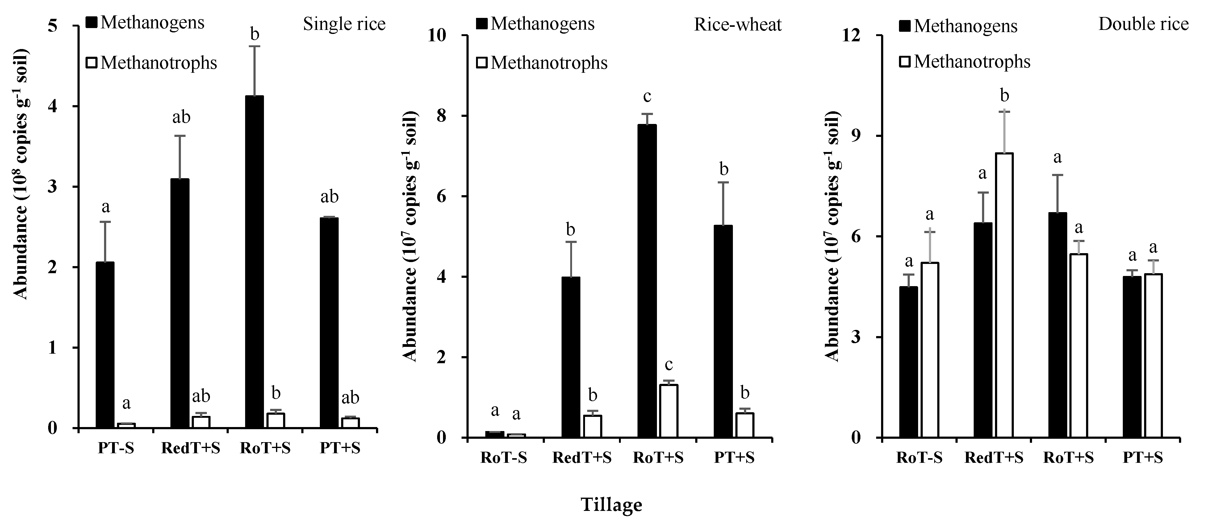 Agronomy 13 00880 g006