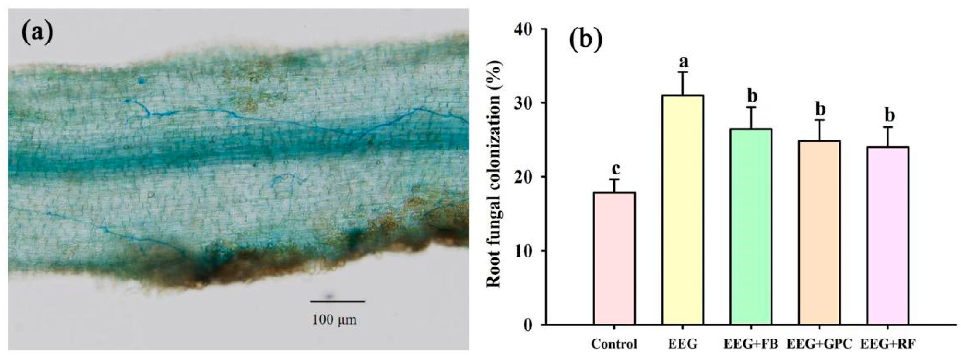 Agronomy 13 00881 g001