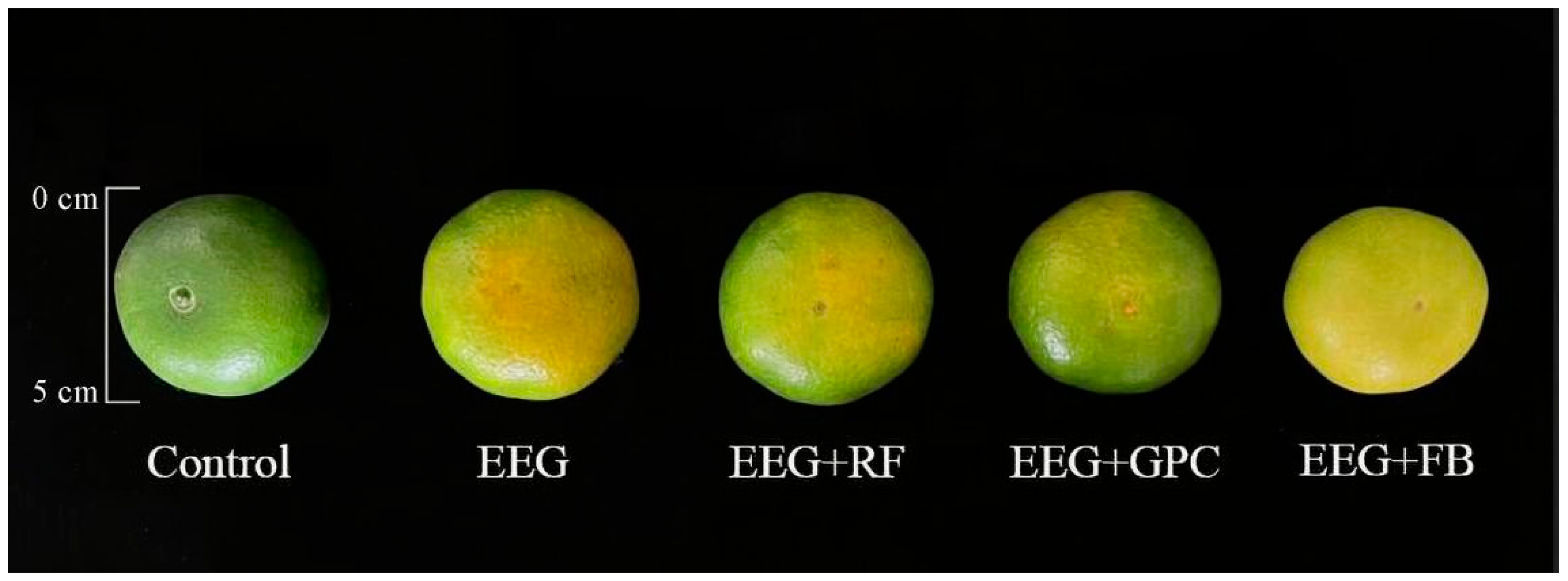 Agronomy 13 00881 g002