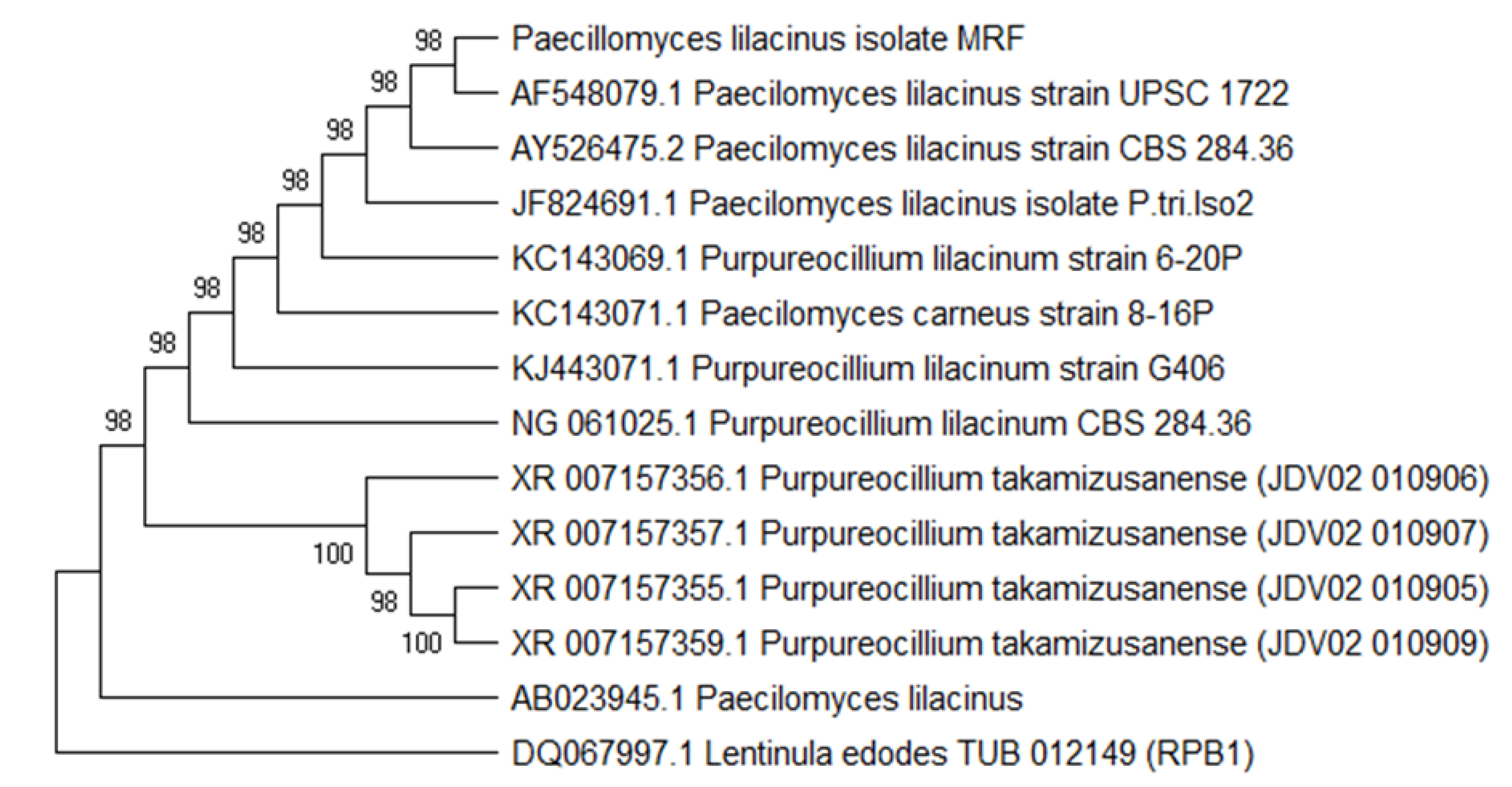 Agronomy 13 00883 g002 Agronomy 13 00883 g002
