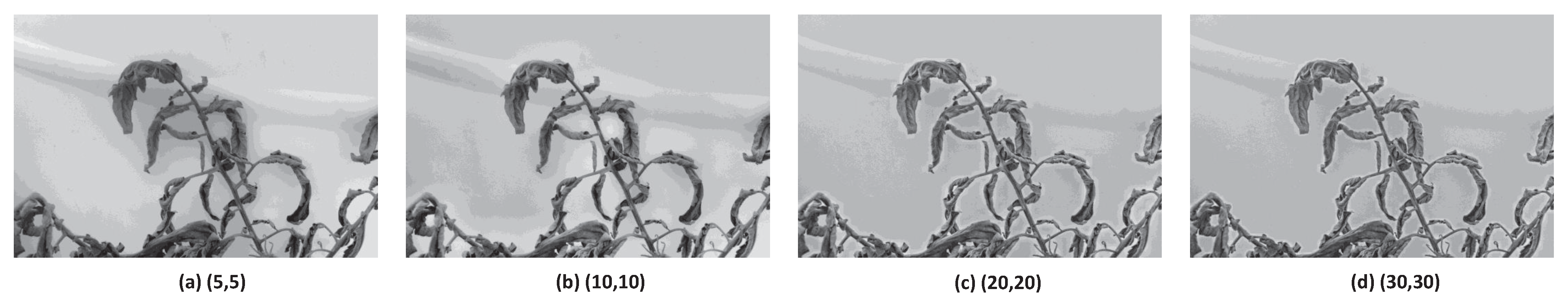 Agronomy 13 00887 g006