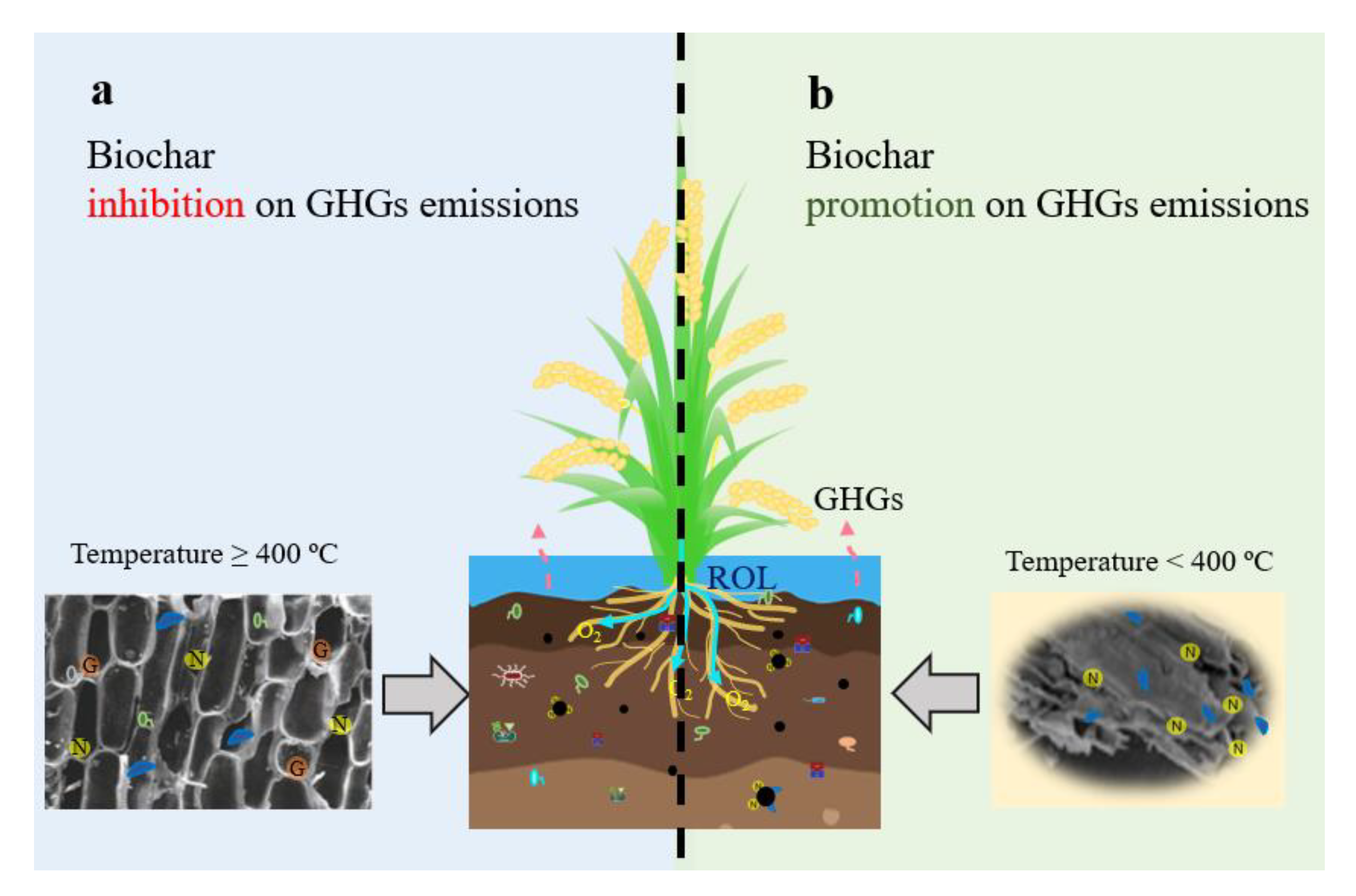 Agronomy 13 00893 g002