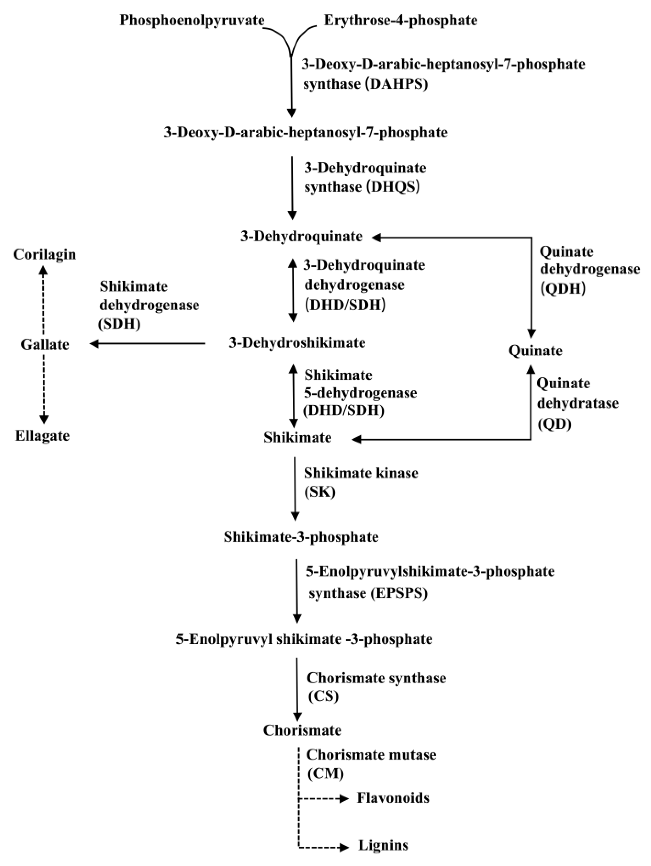 Agronomy 13 00895 g001