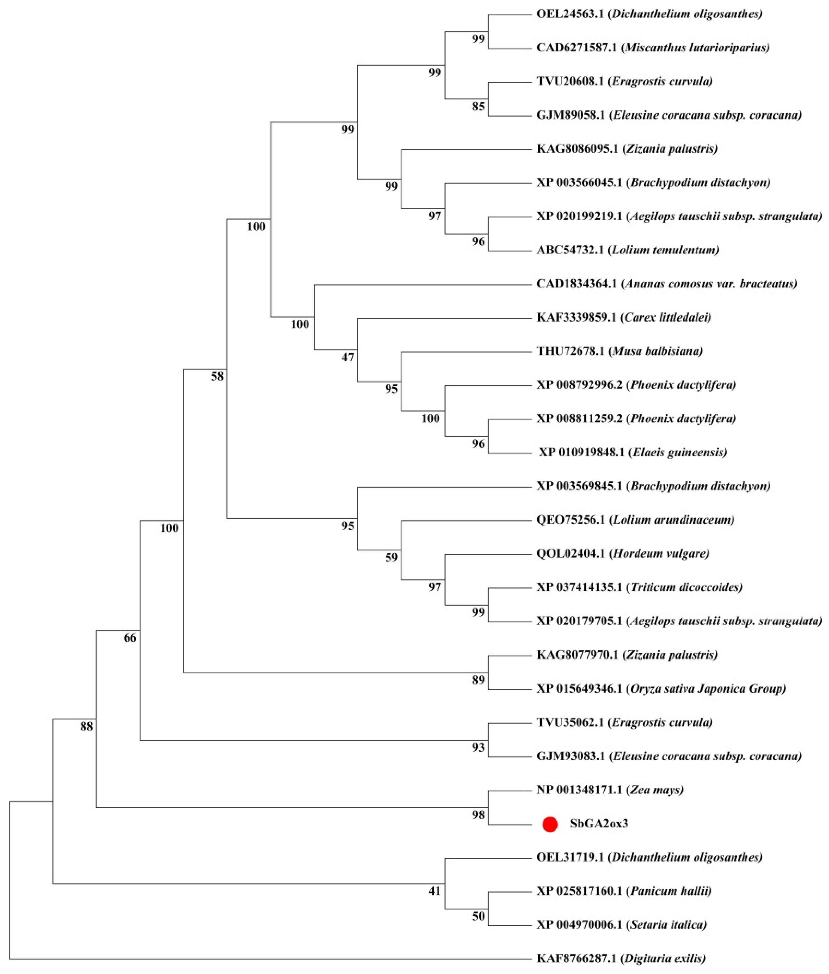 Agronomy 13 00908 g004