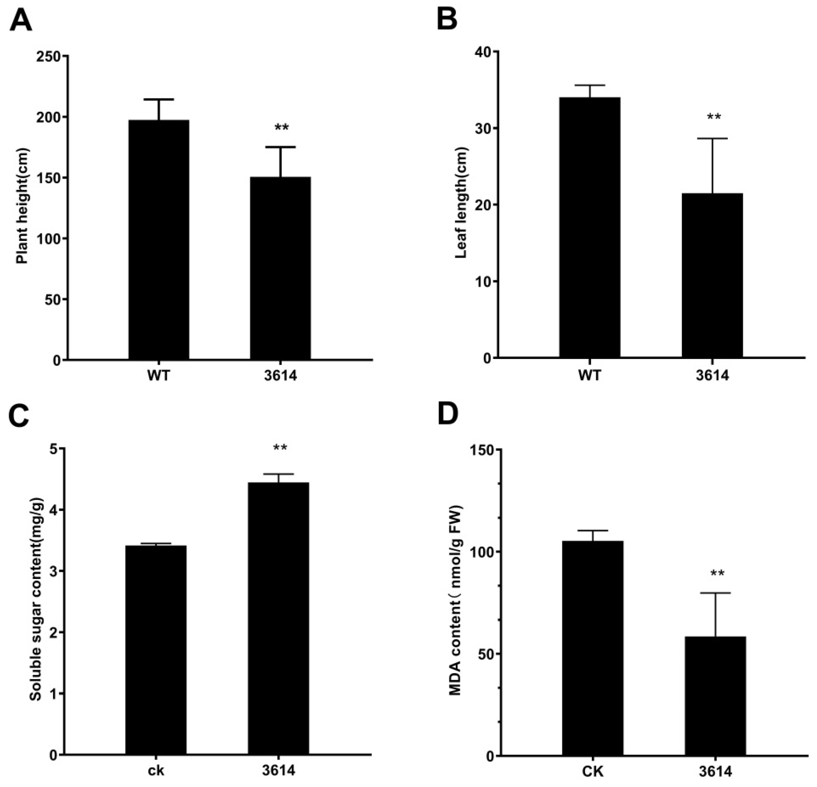 Agronomy 13 00908 g007