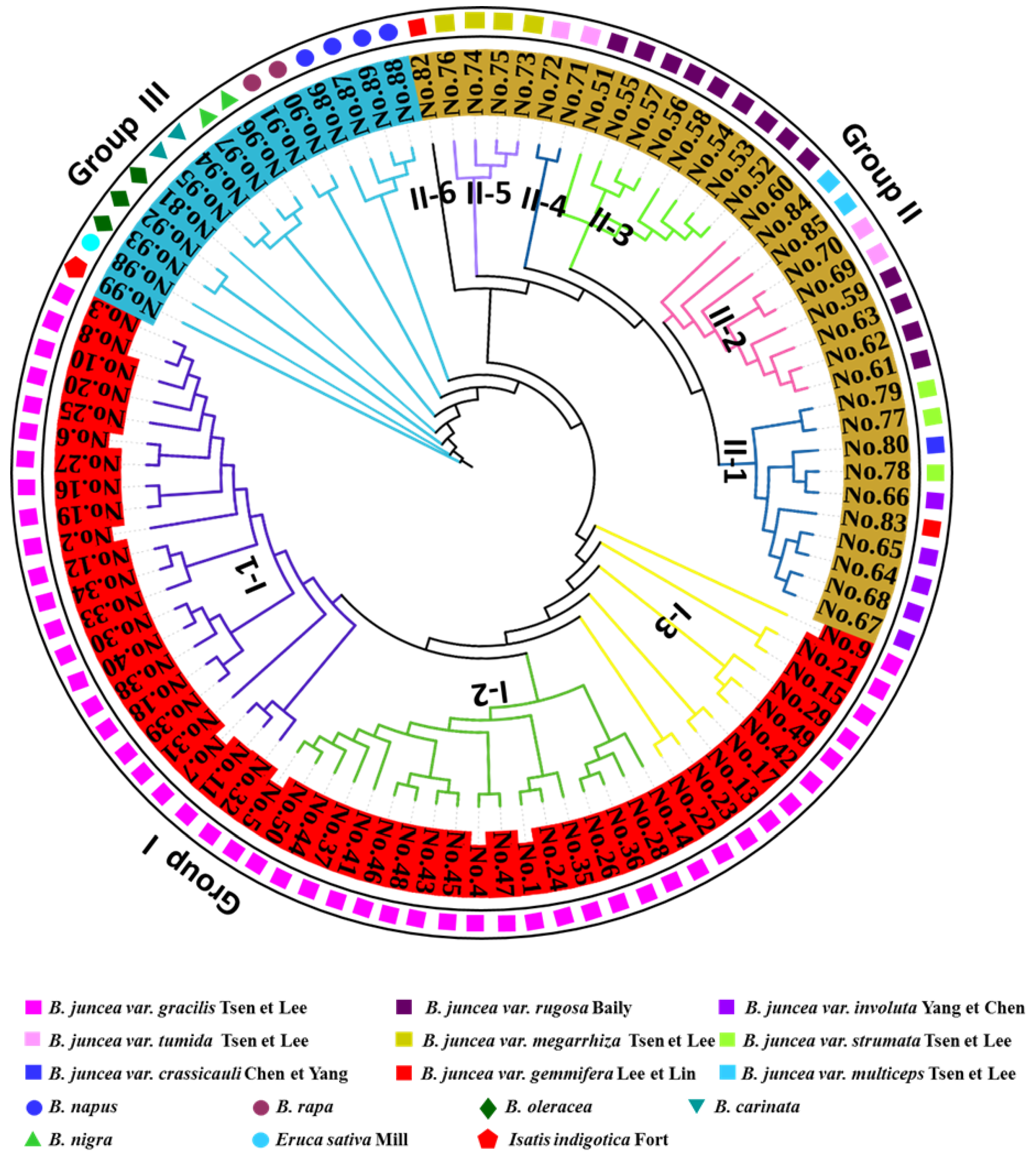 Agronomy 13 00919 g001