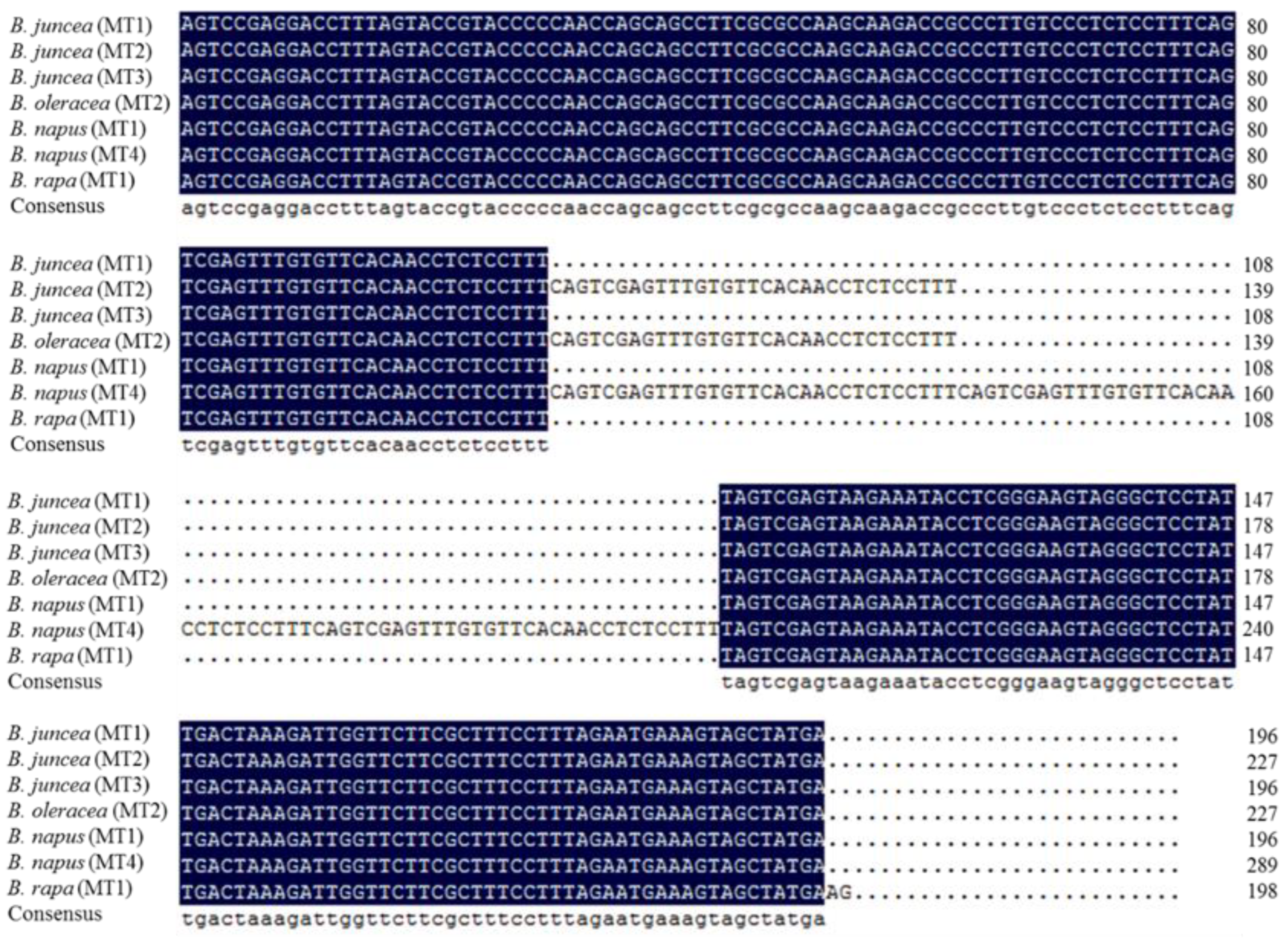 Agronomy 13 00919 g006