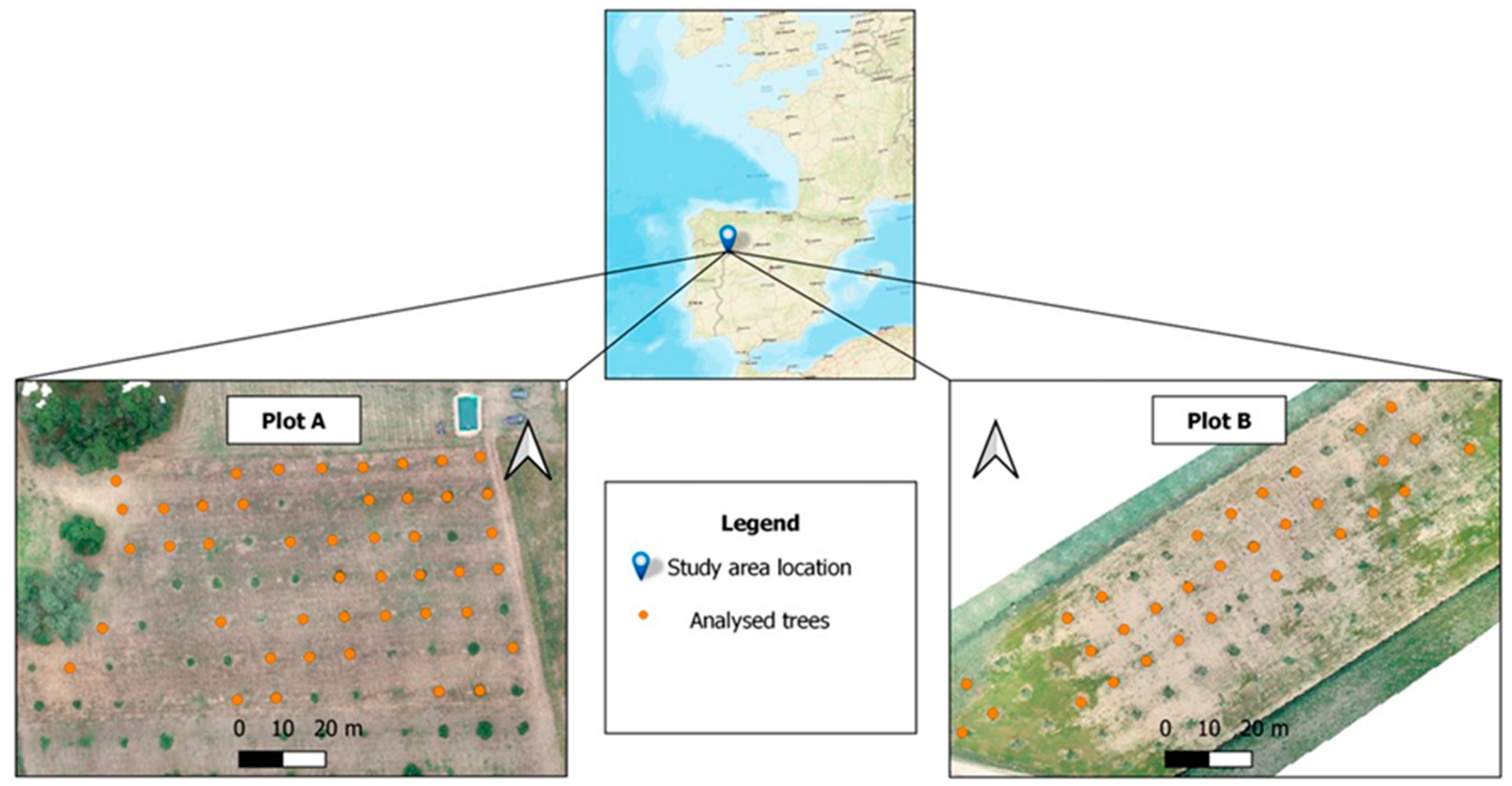 Agronomy 13 00923 g001