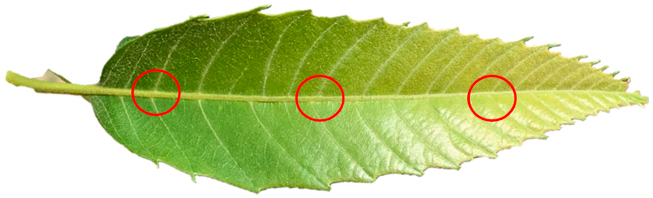 Agronomy 13 00923 g003