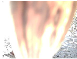 Agronomy 13 00925 i012