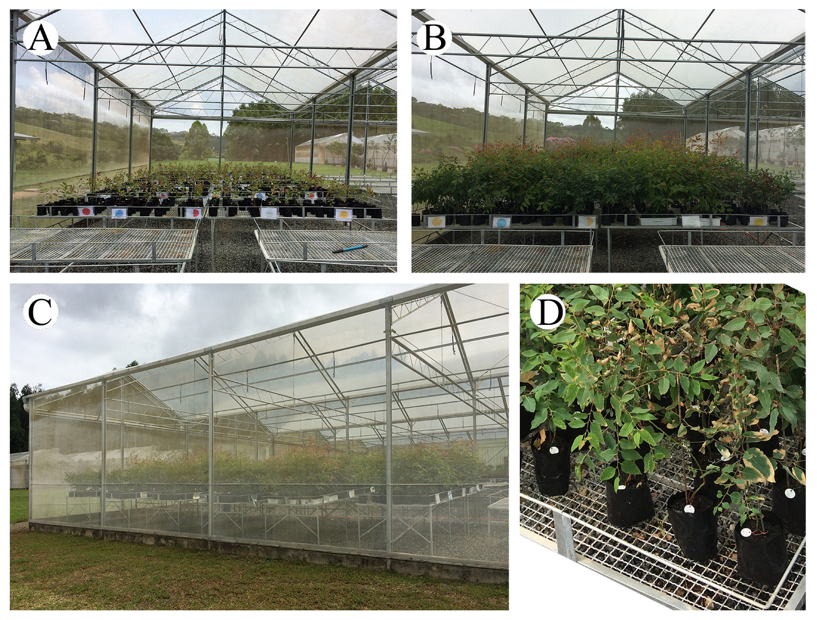 Agronomy 13 00937 g001 Agronomy 13 00937 g001