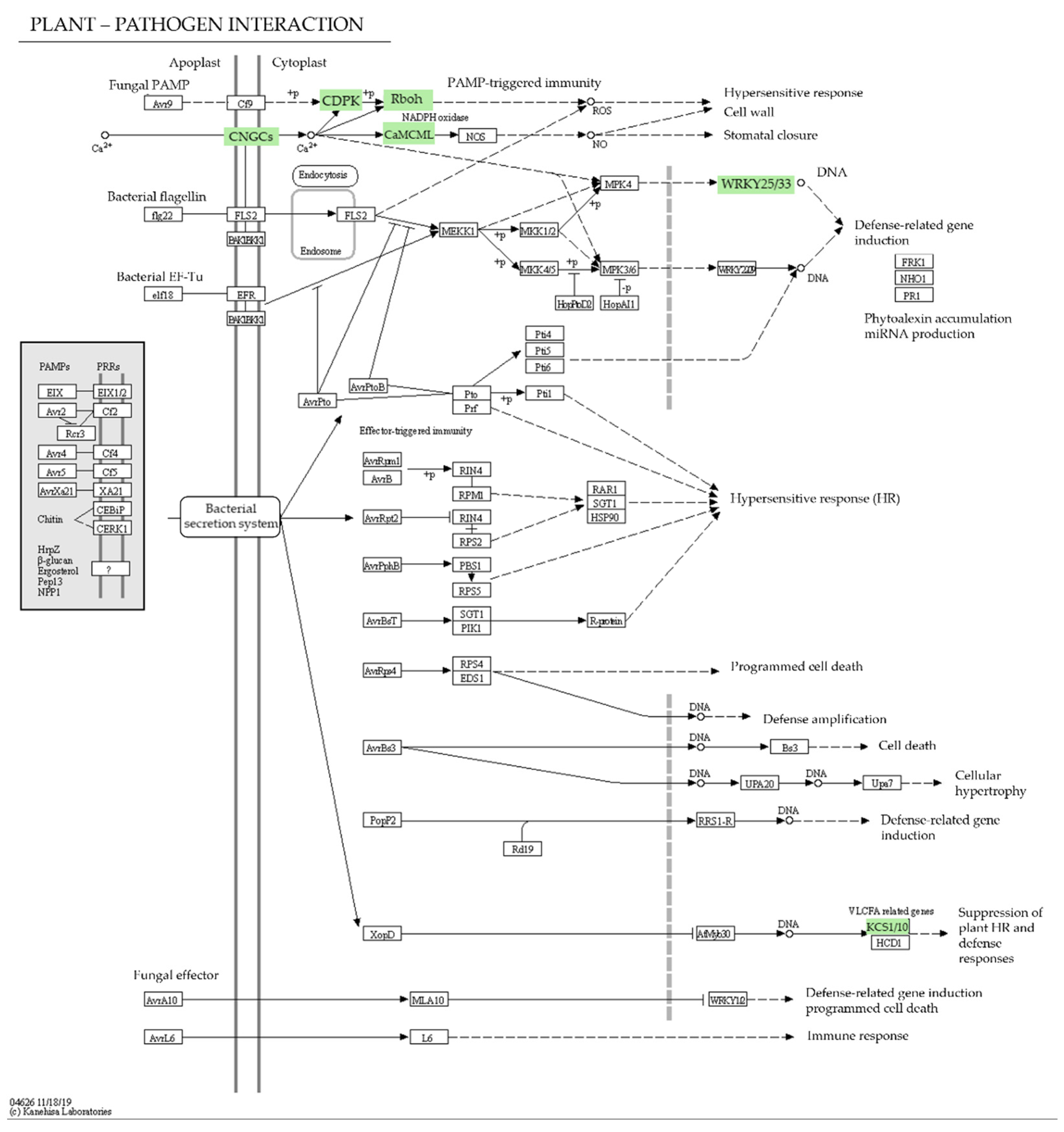 Agronomy 13 00945 g003