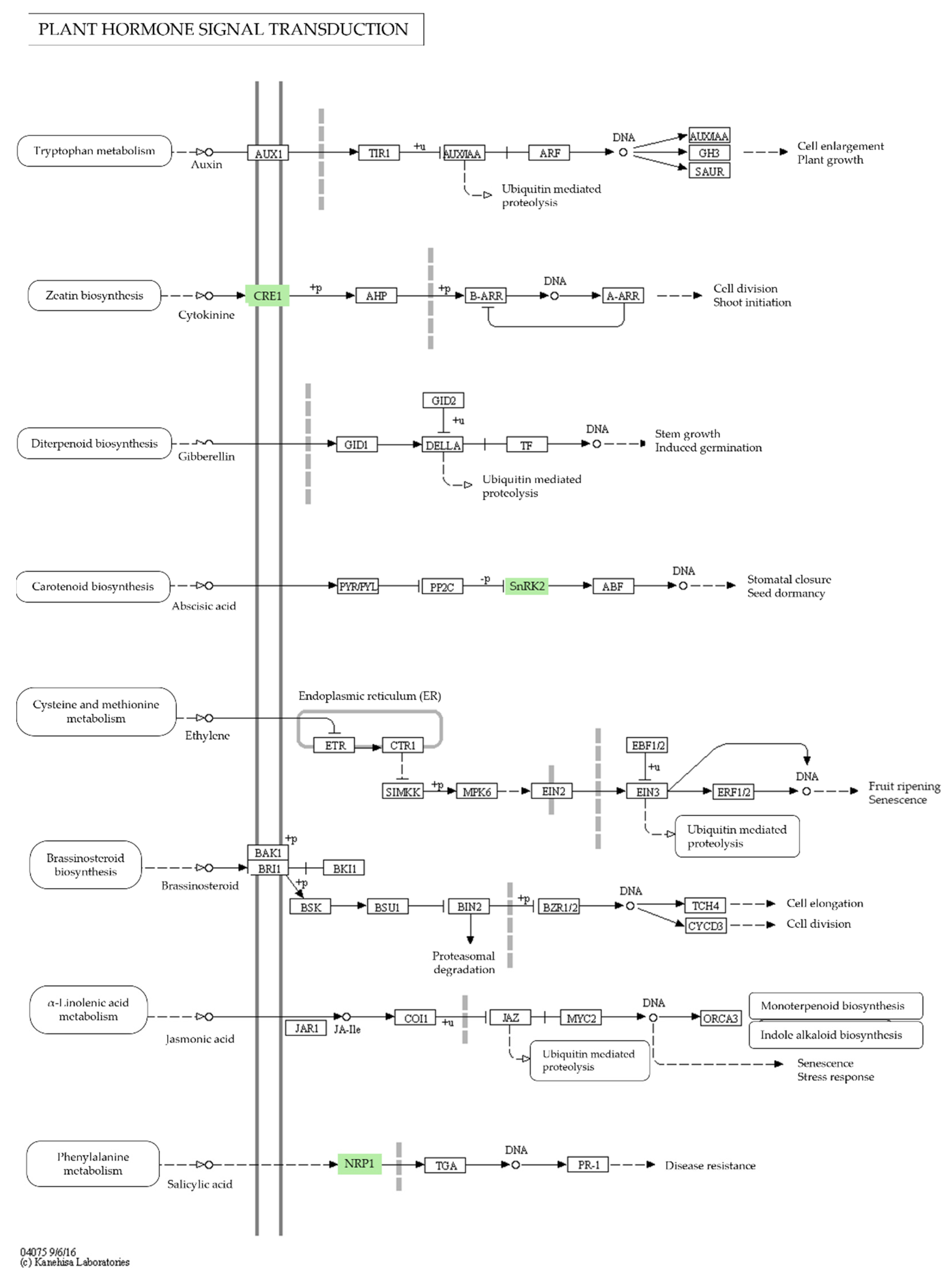 Agronomy 13 00945 g004