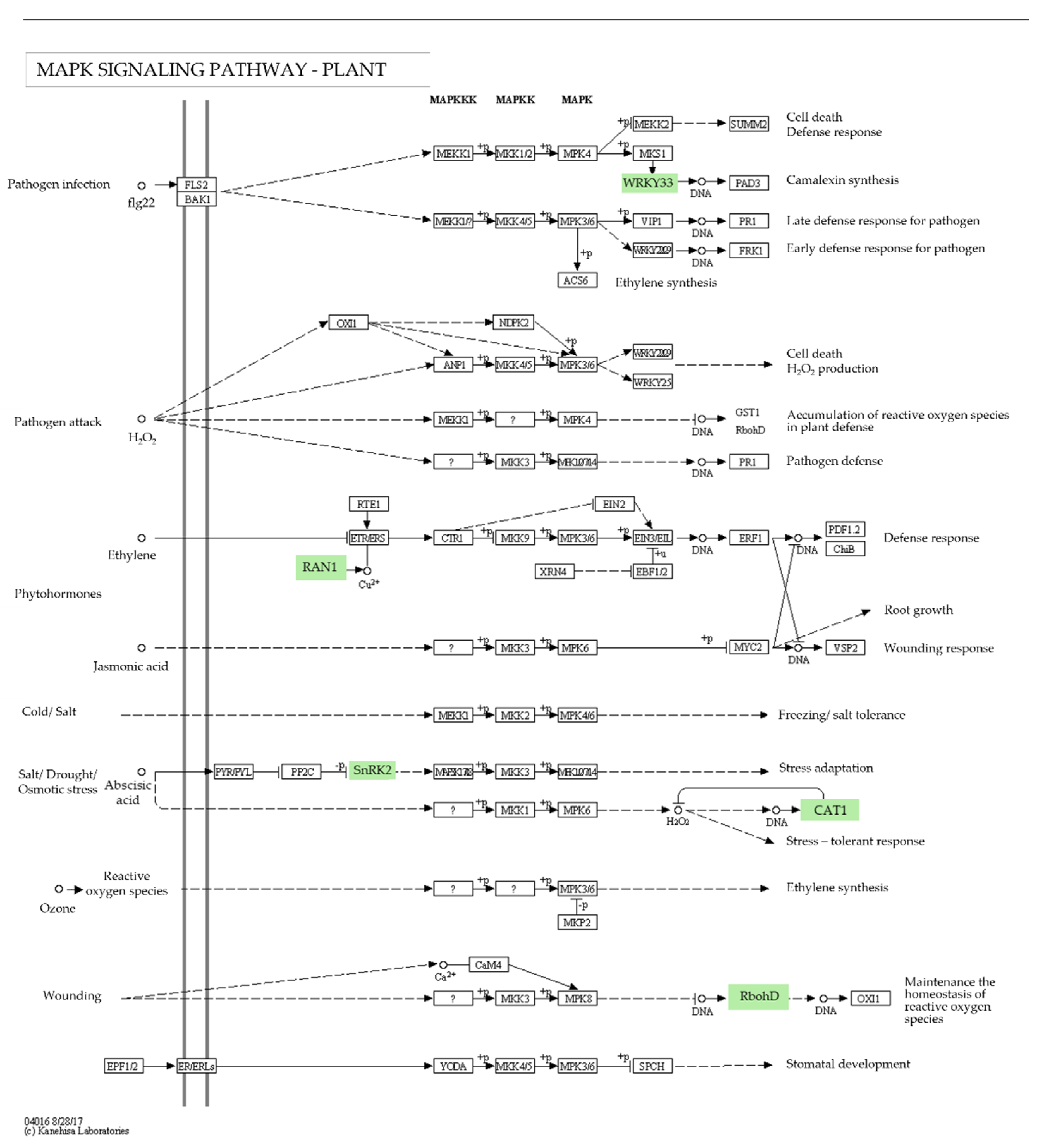 Agronomy 13 00945 g005