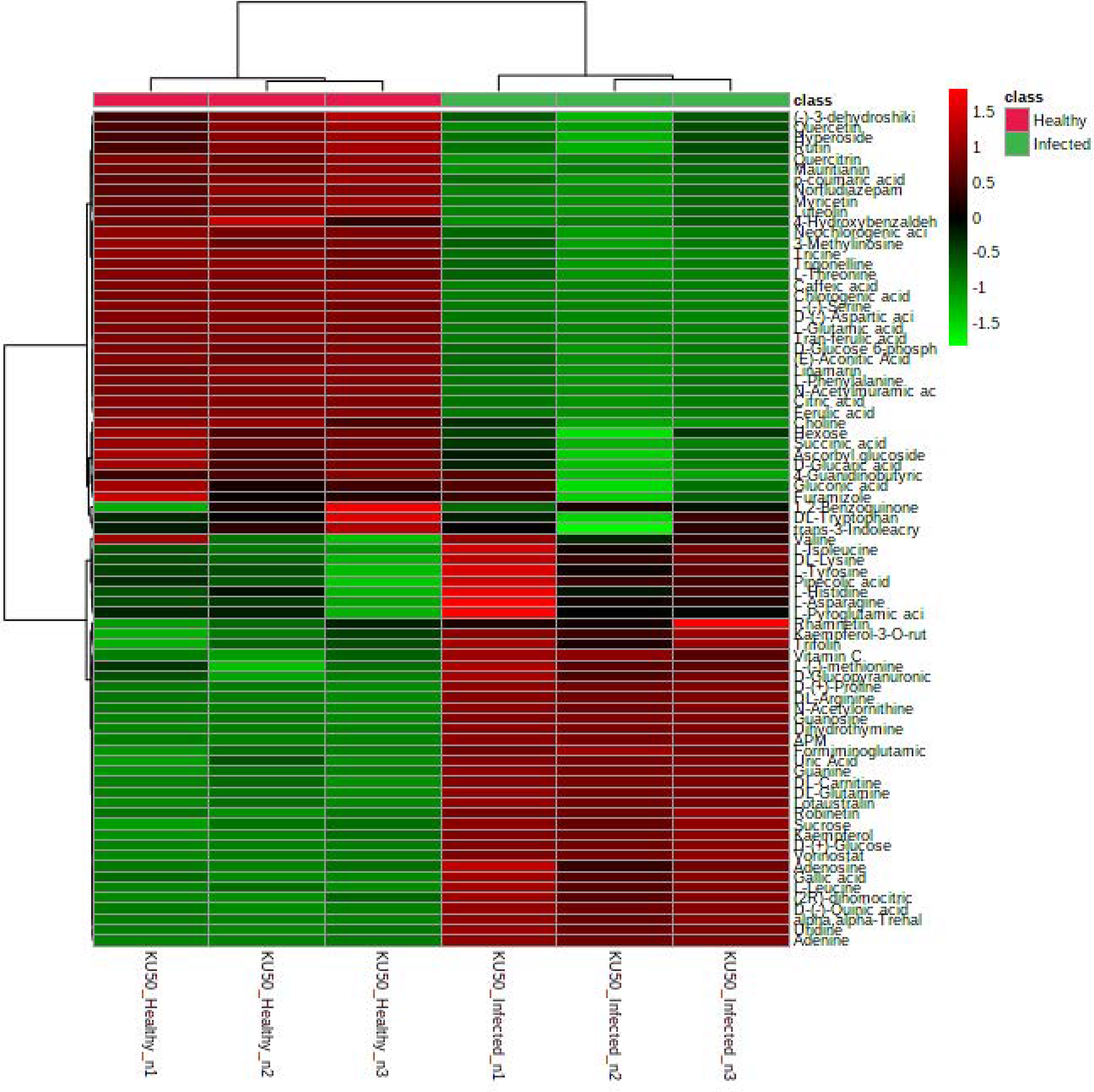 Agronomy 13 00945 g006