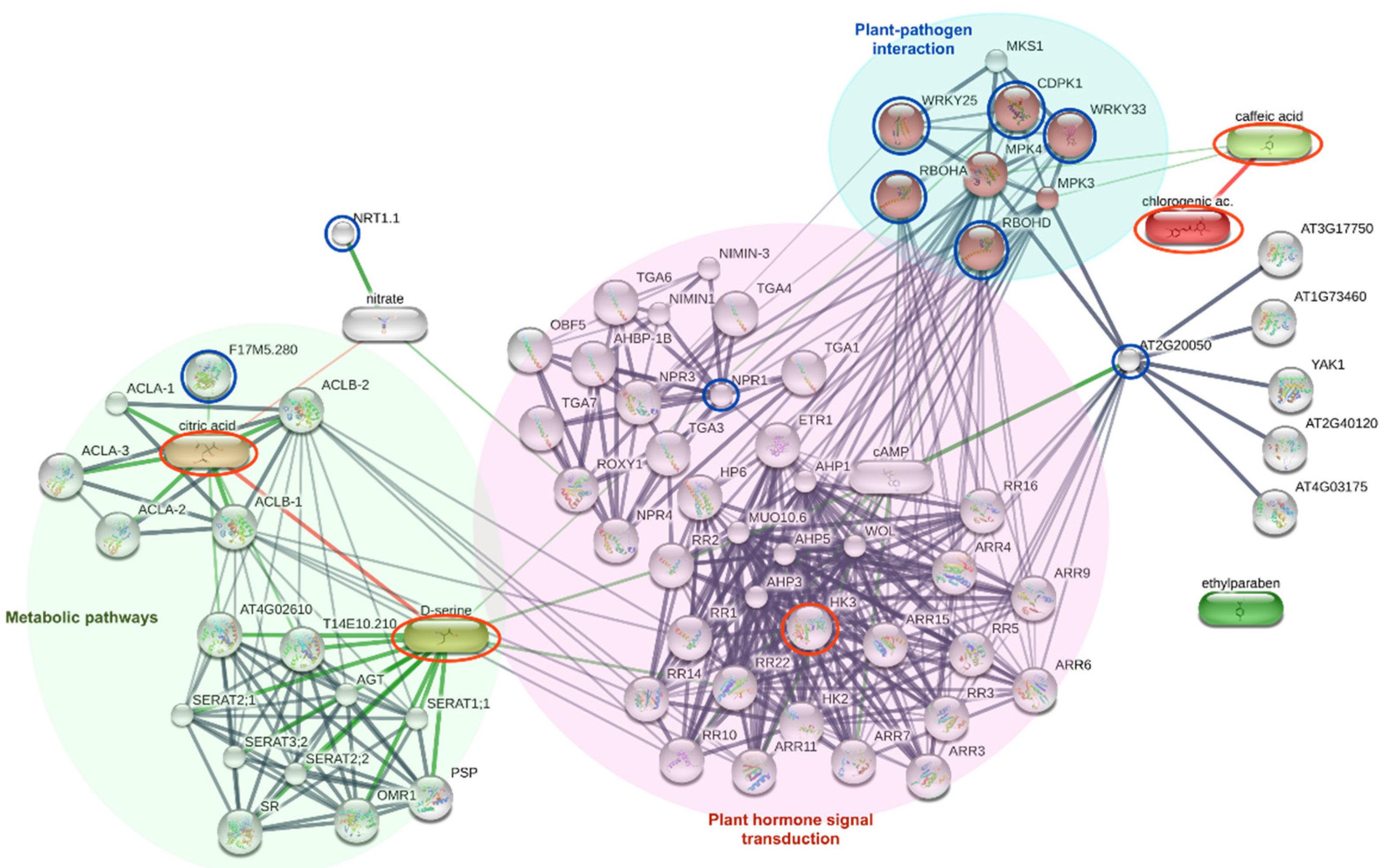 Agronomy 13 00945 g010