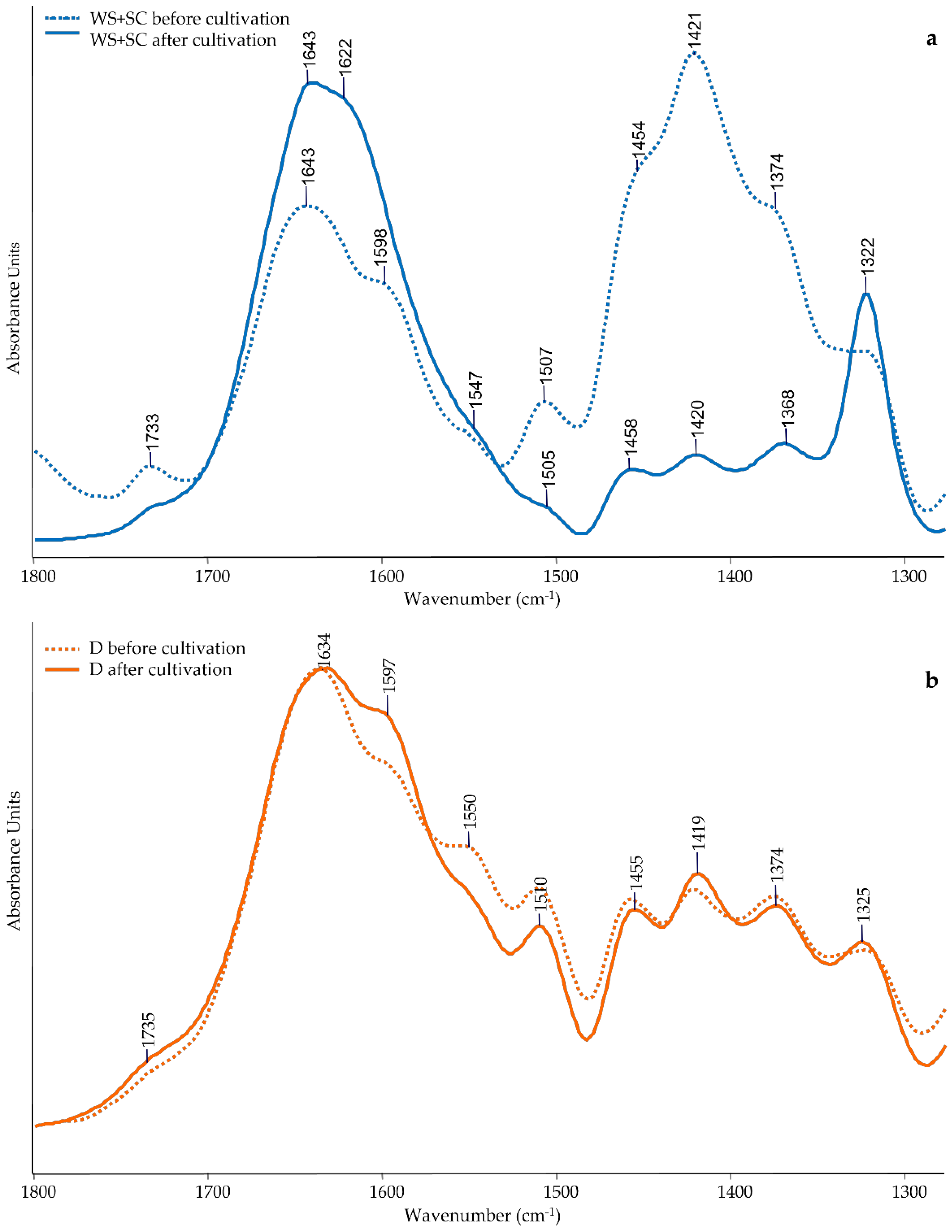 Agronomy 13 00950 g004