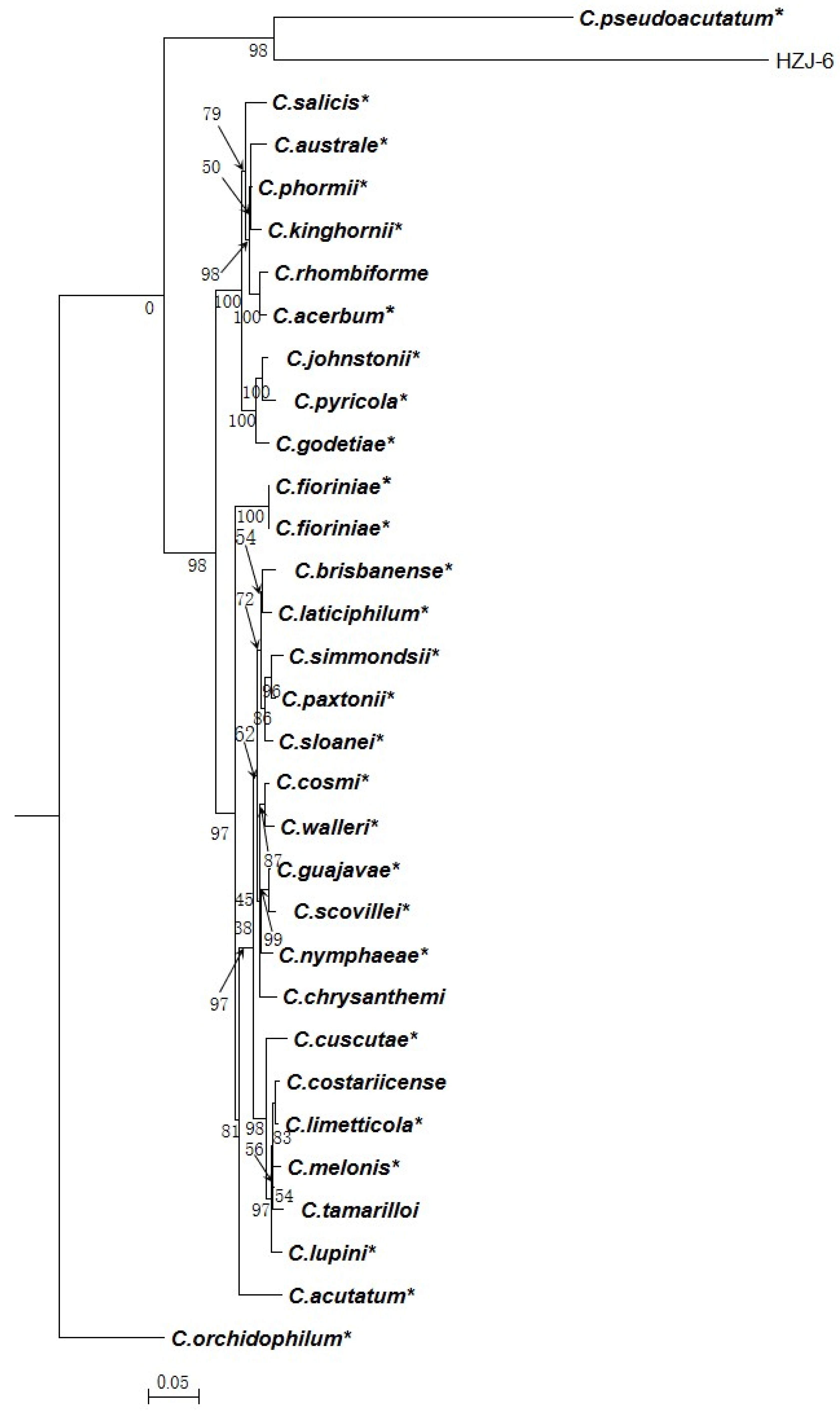 Agronomy 13 00952 g002