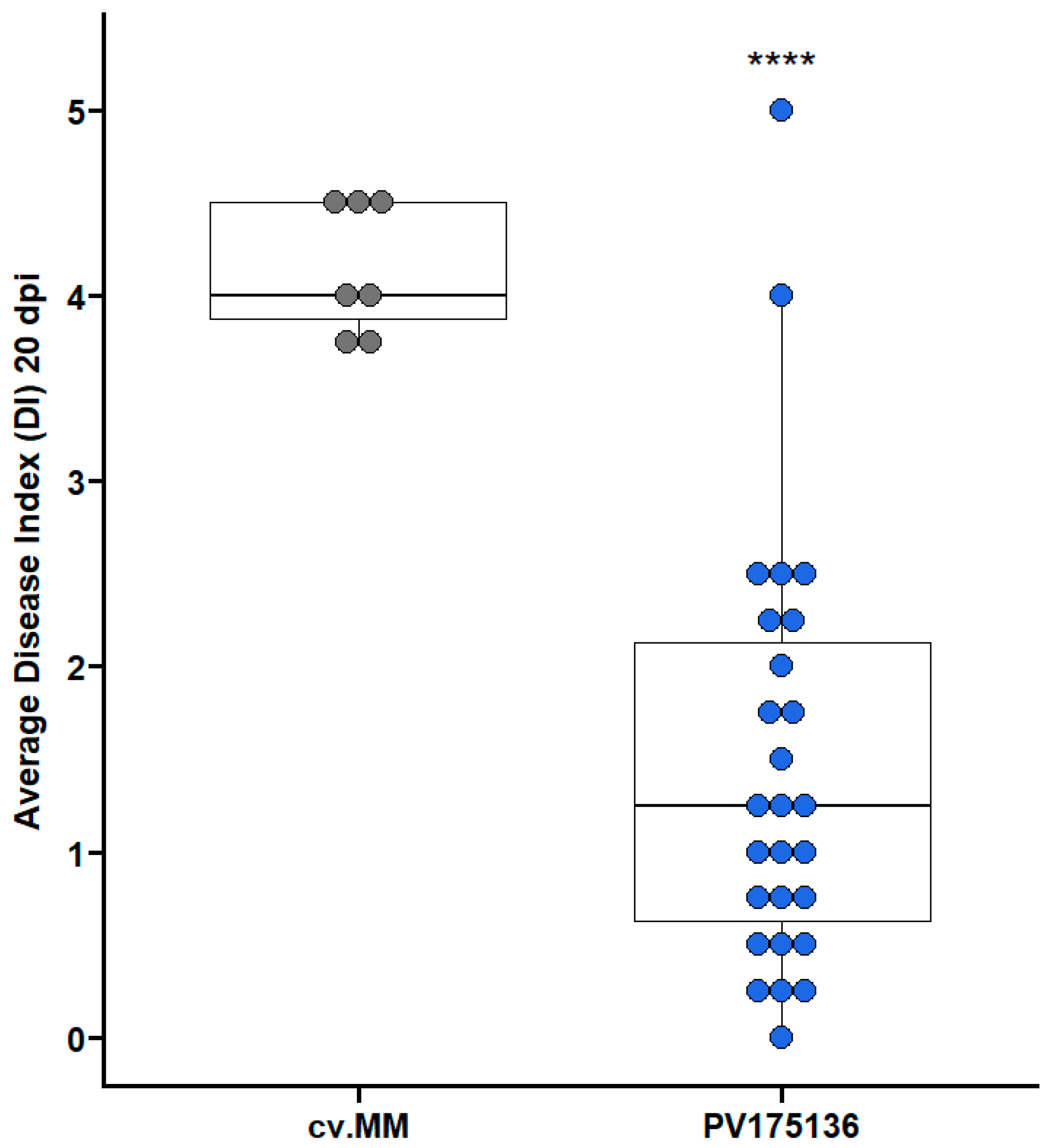 Agronomy 13 00953 g001