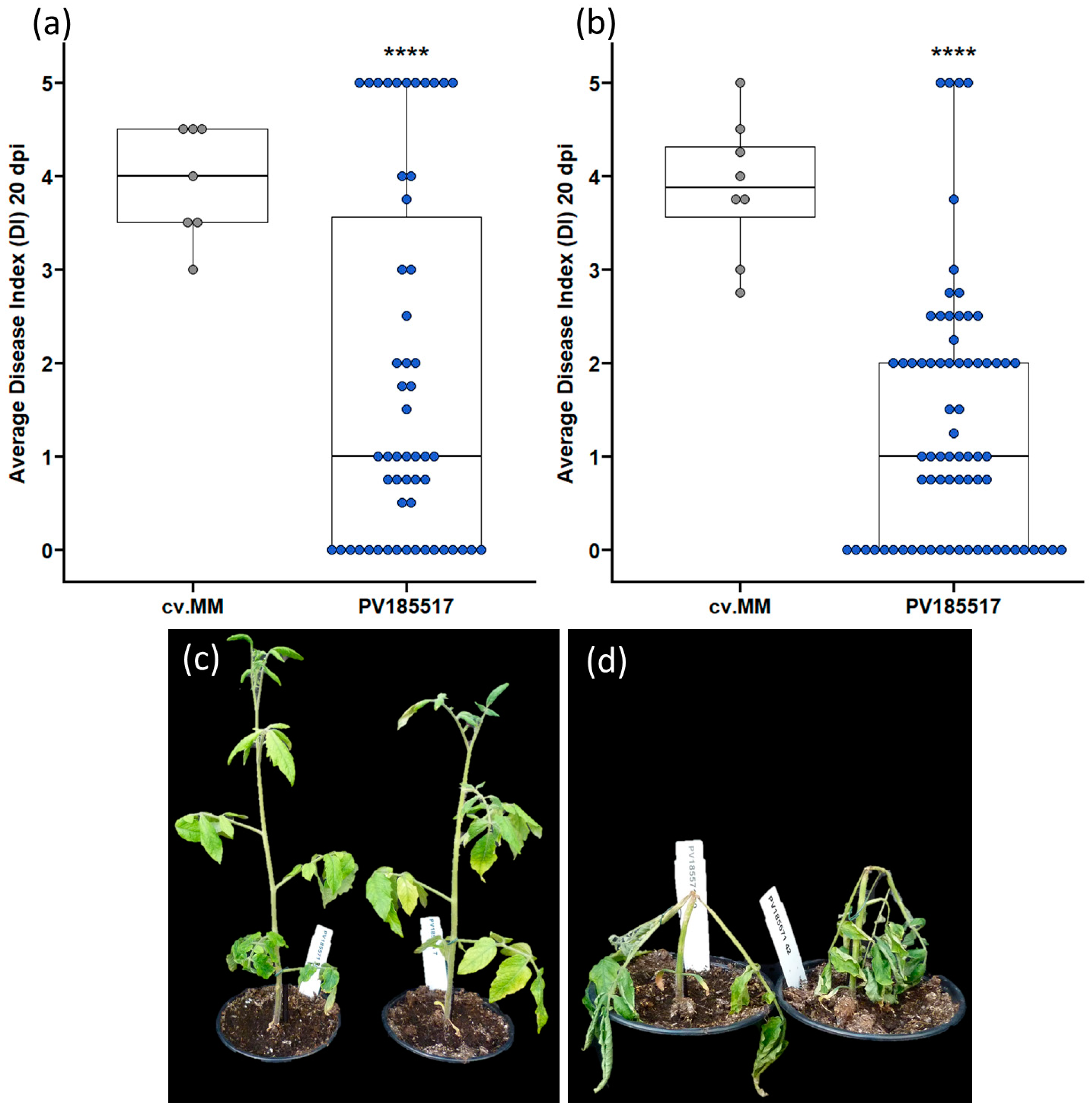 Agronomy 13 00953 g002
