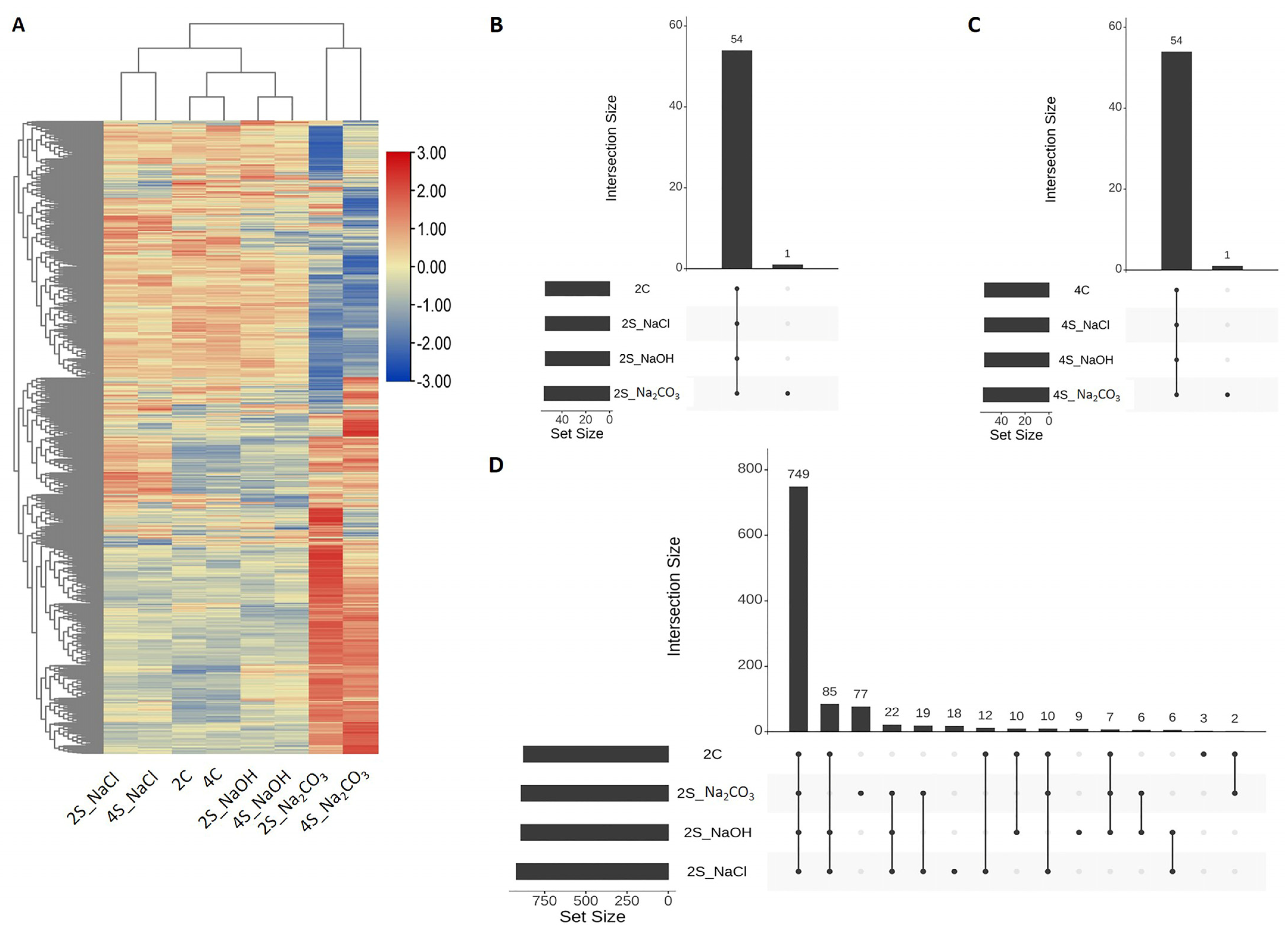 Agronomy 13 00959 g001a