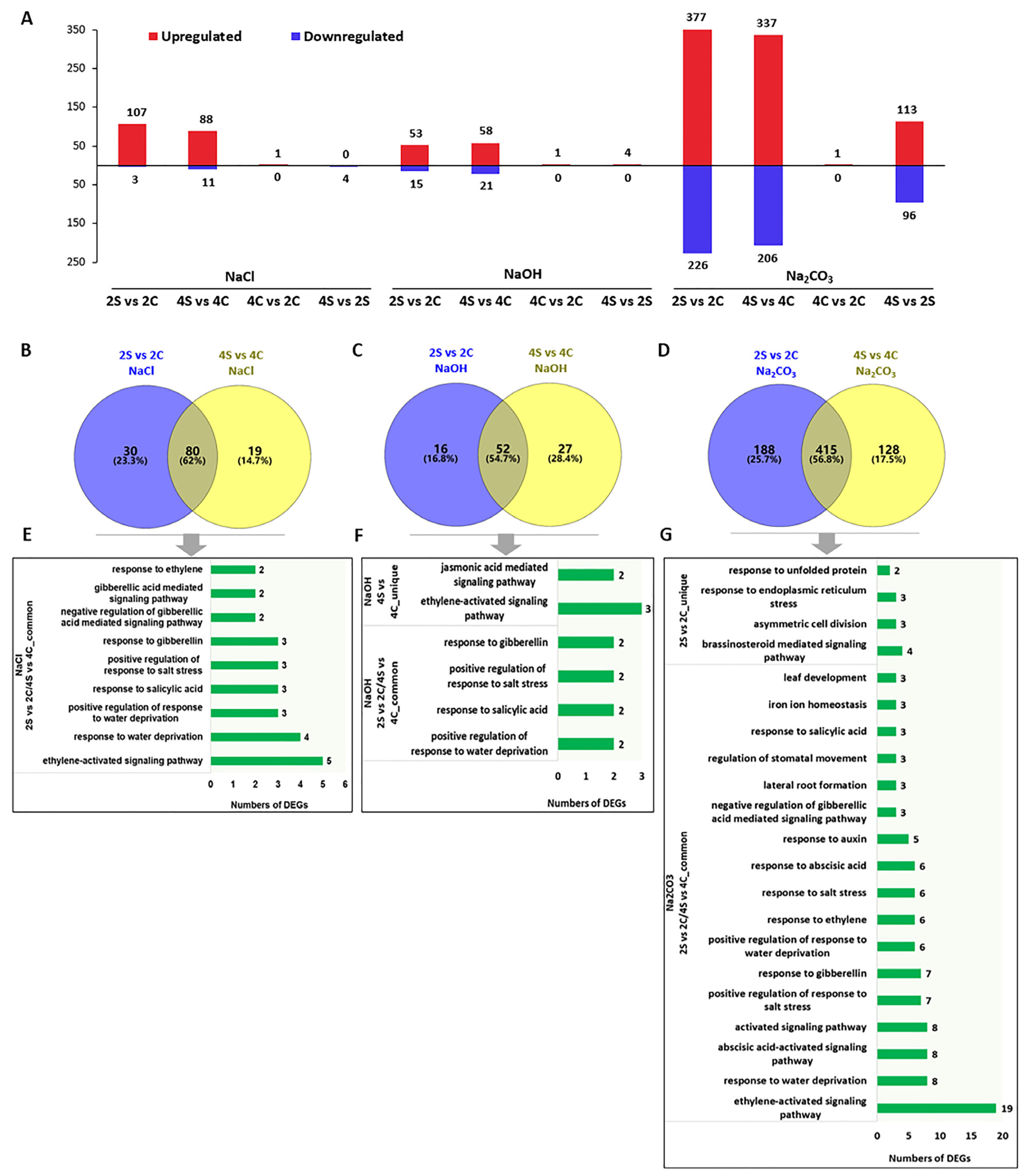 Agronomy 13 00959 g002