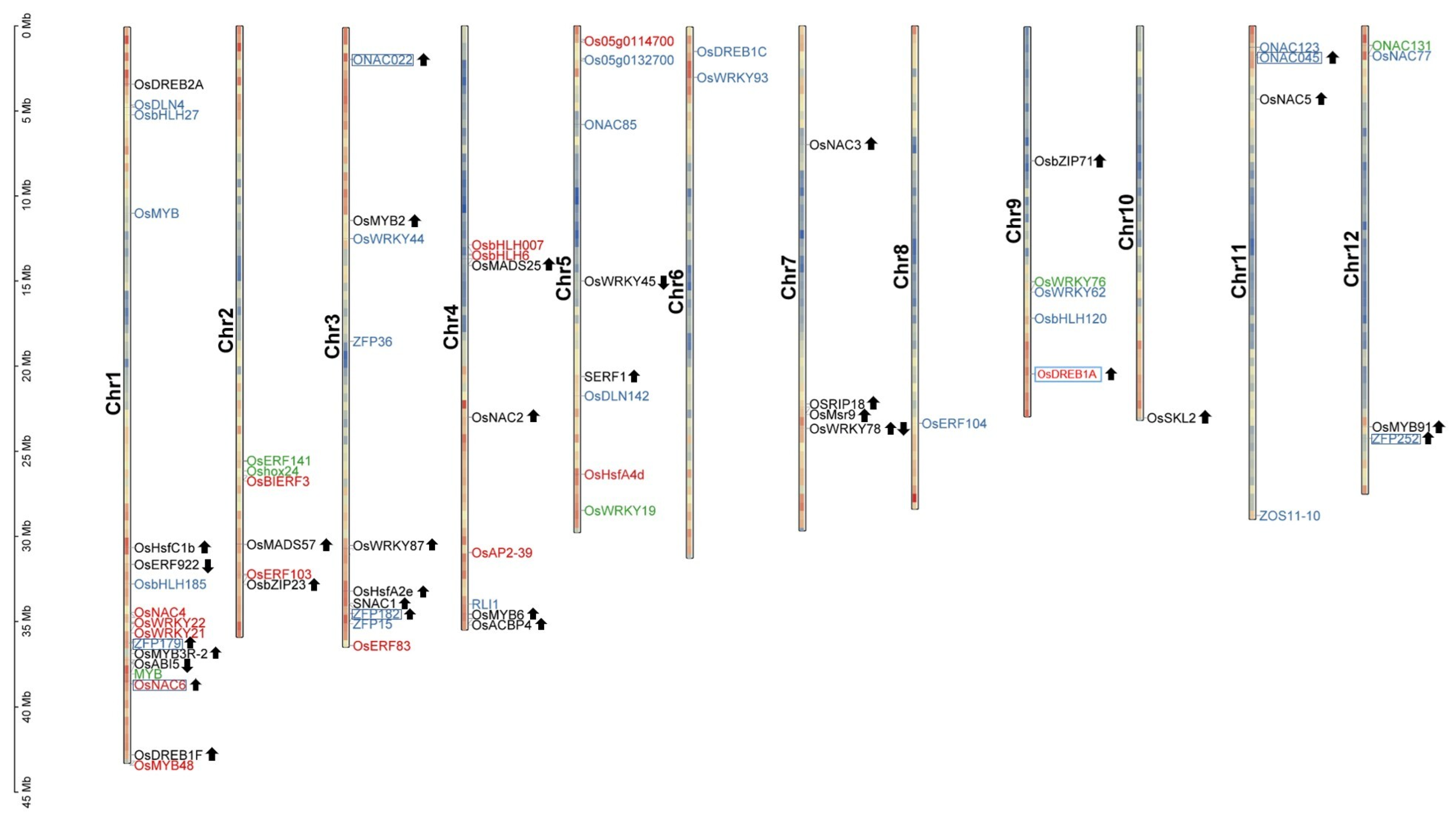 Agronomy 13 00959 g005