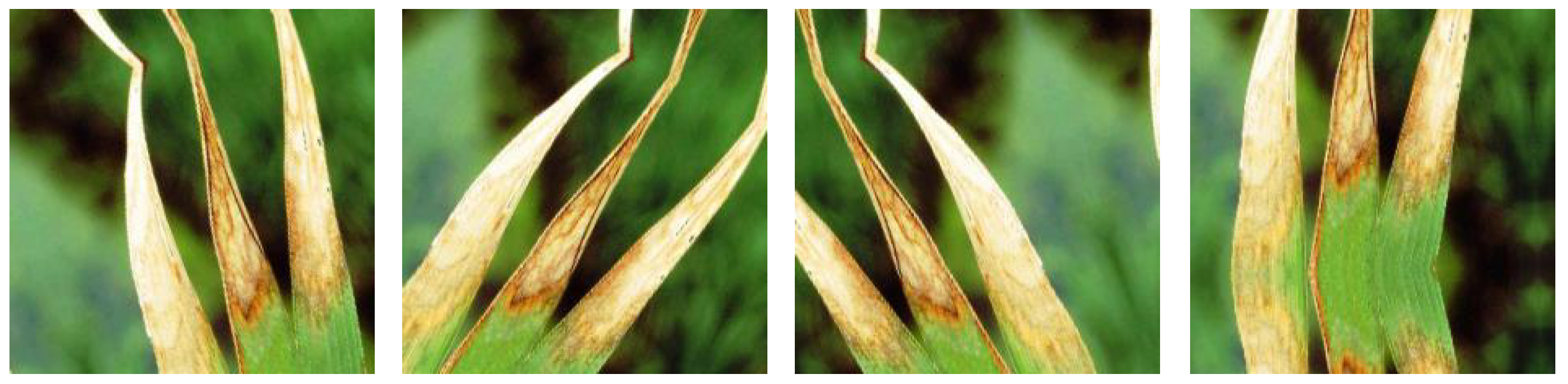 Agronomy 13 00961 g003 Agronomy 13 00961 g003