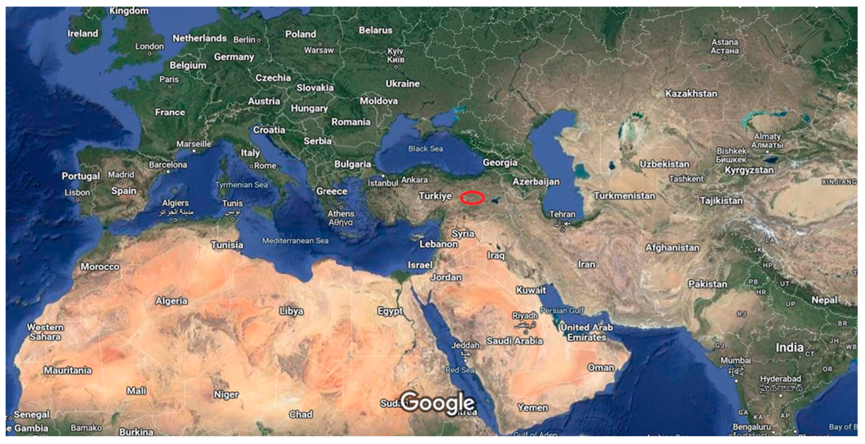 Agronomy 13 00962 g001