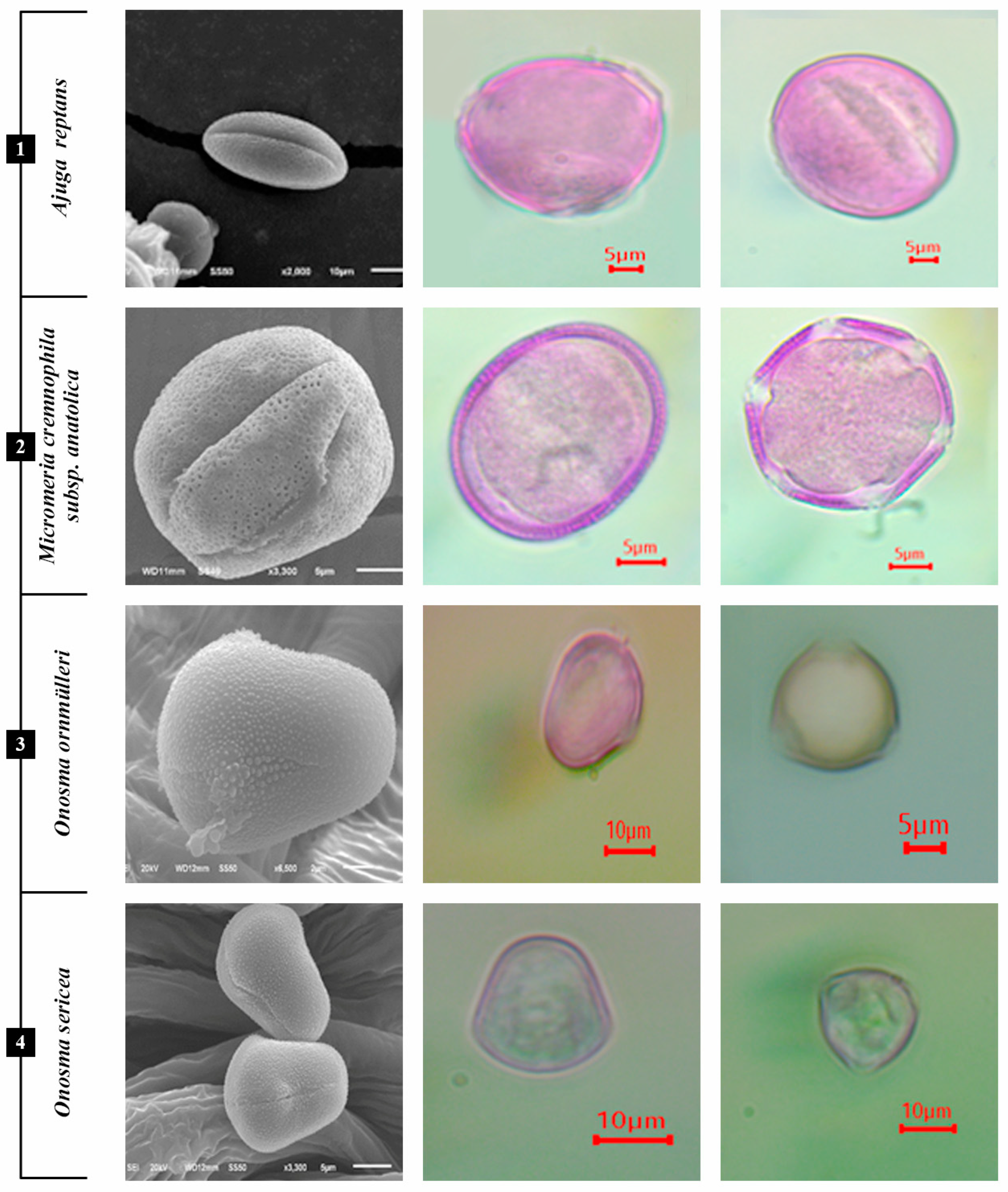 Agronomy 13 00962 g003
