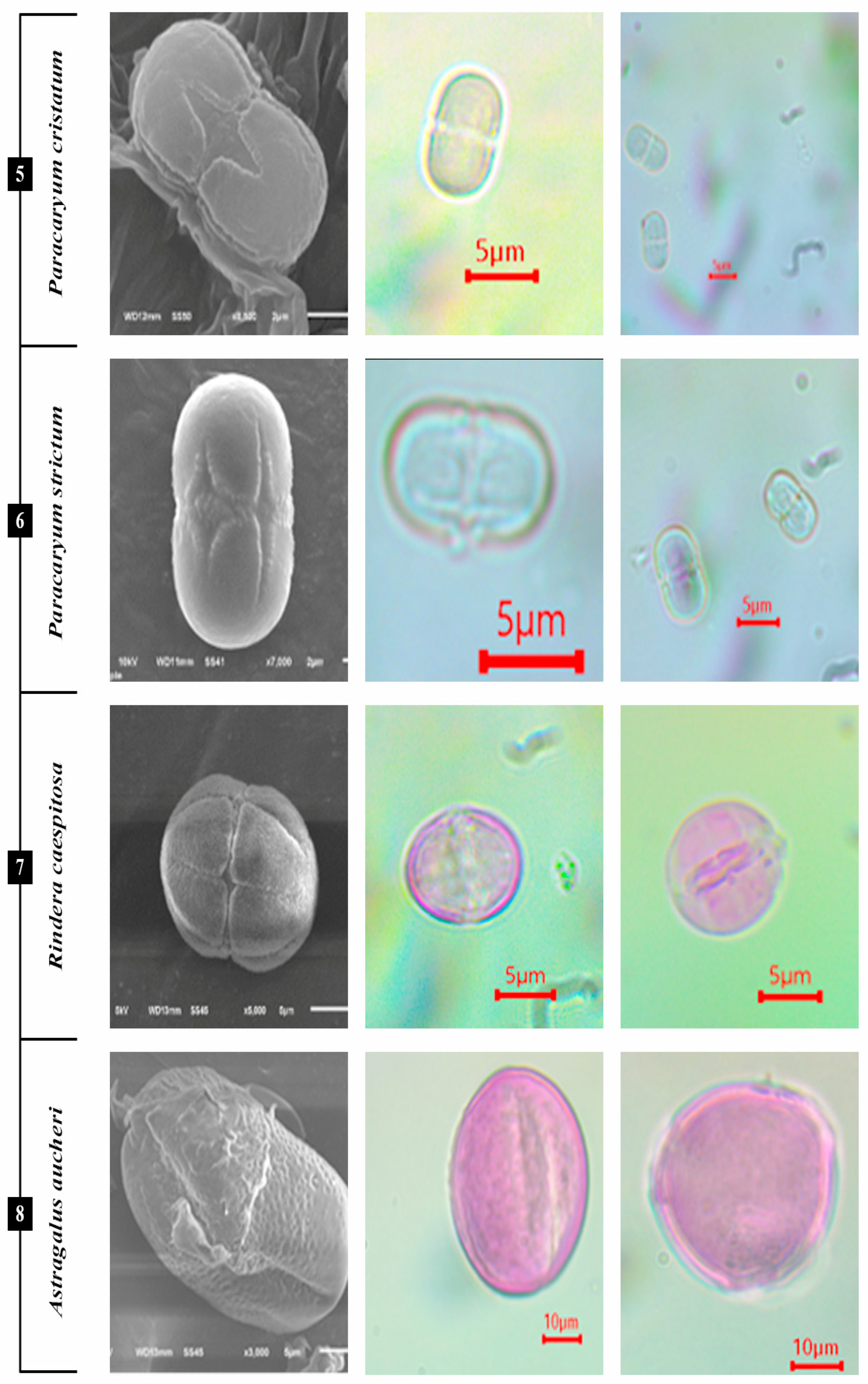 Agronomy 13 00962 g004
