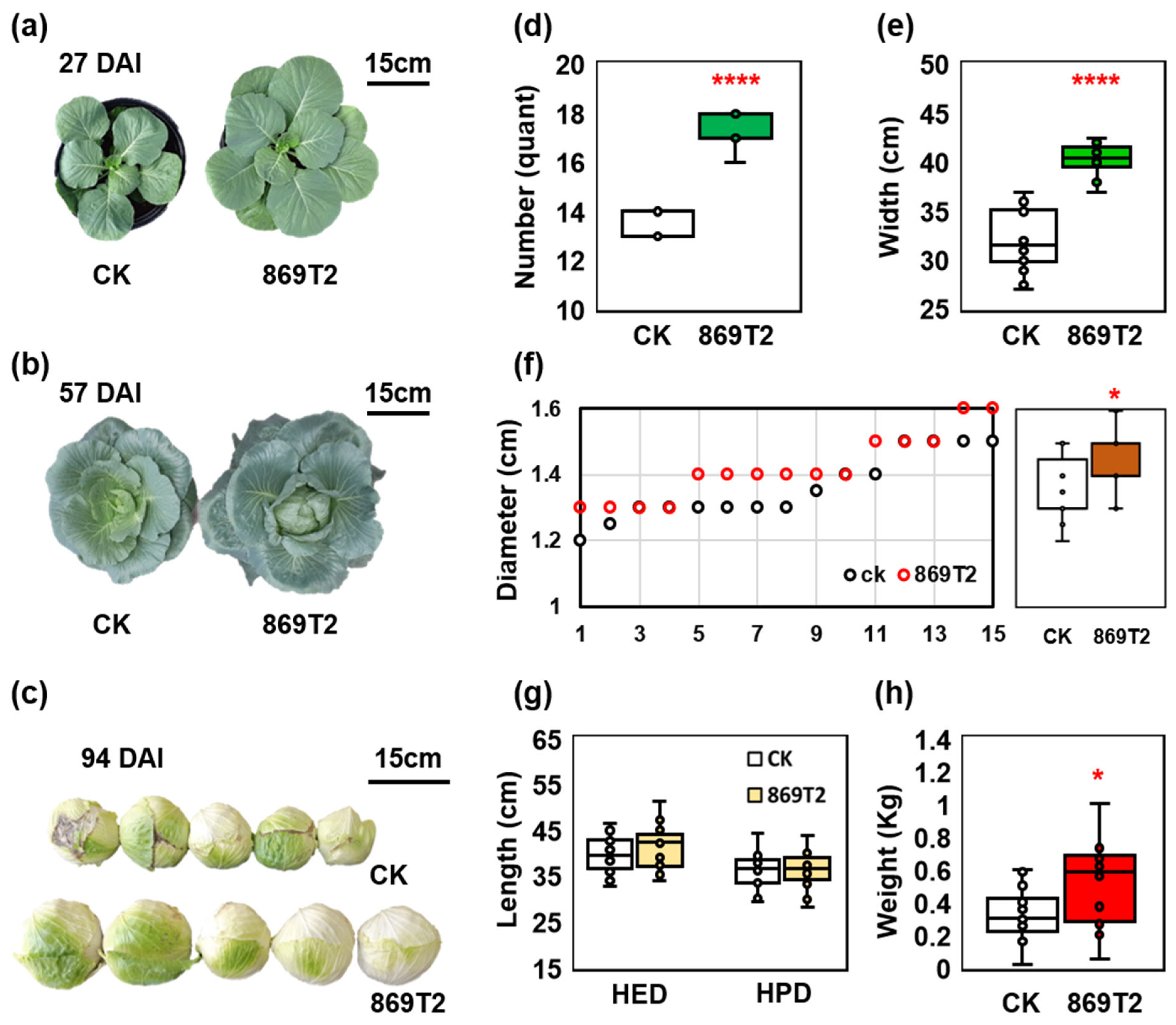 Agronomy 13 00967 g001