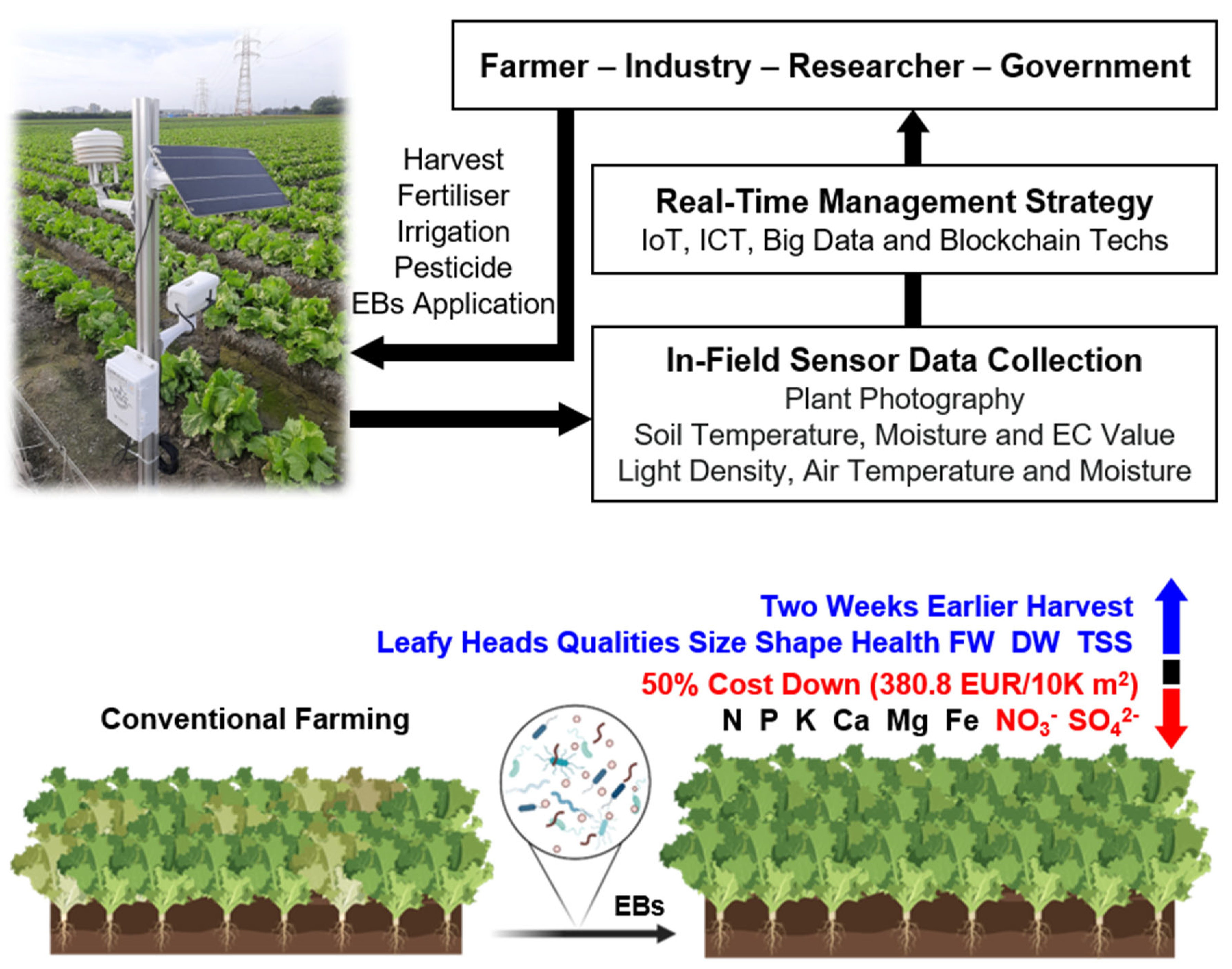 Agronomy 13 00967 g005