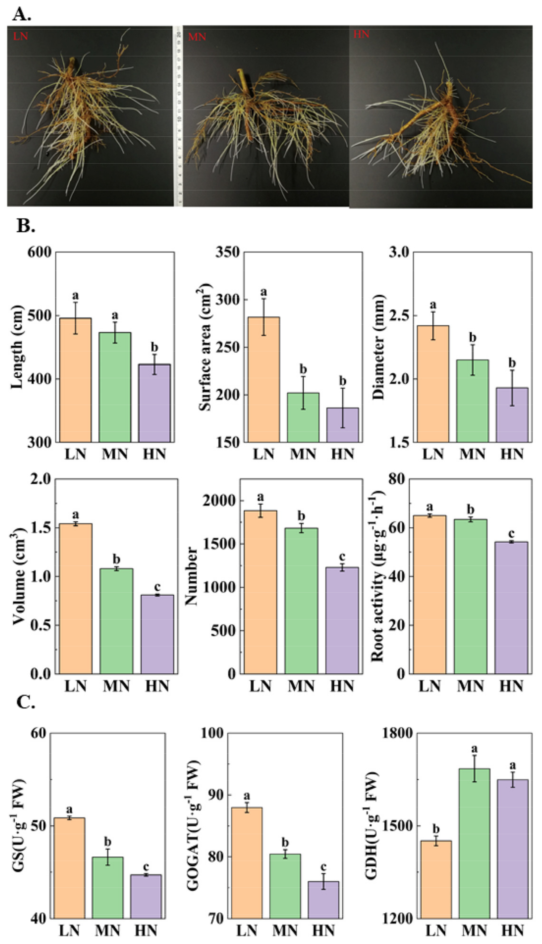 Agronomy 13 00968 g001