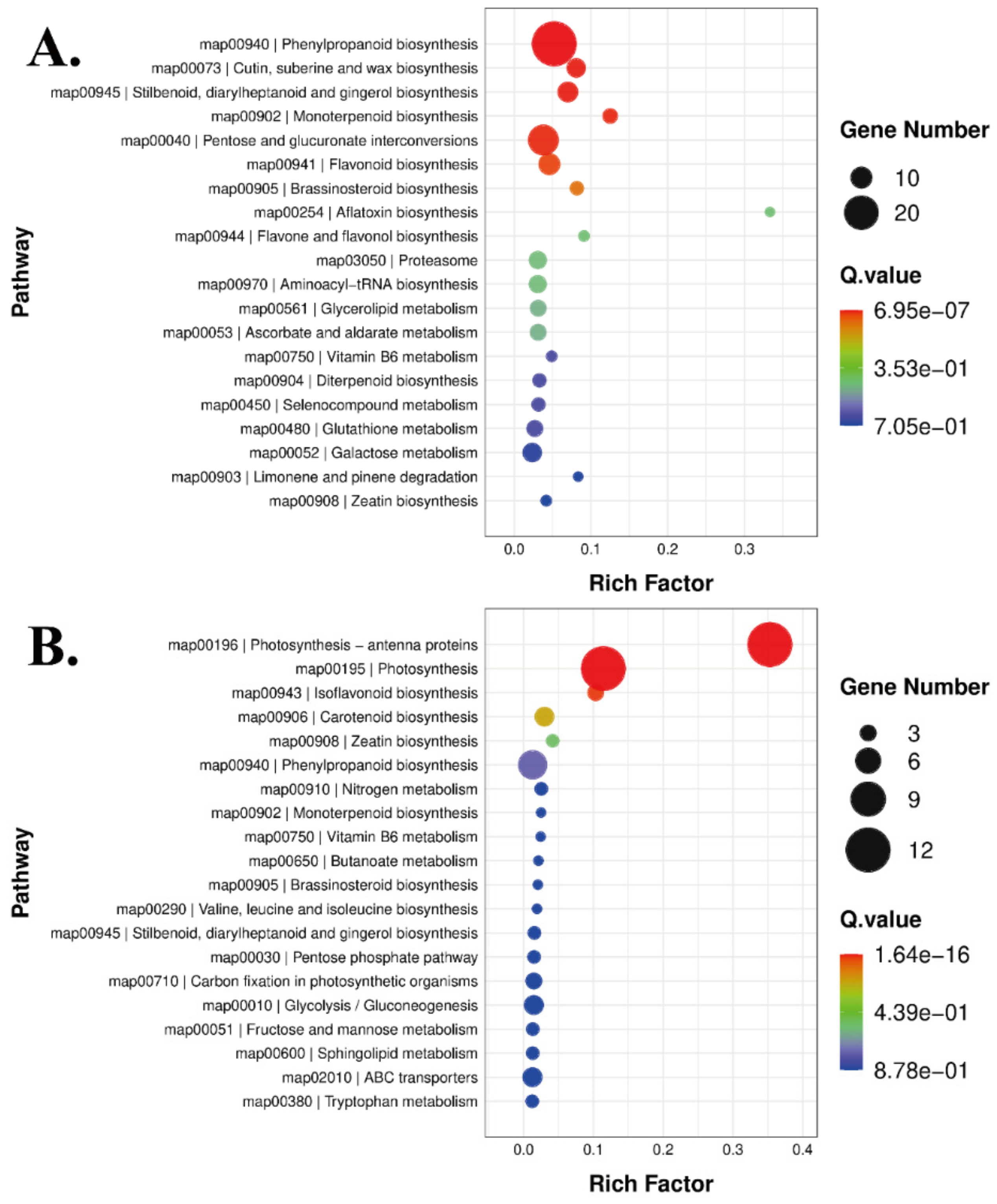 Agronomy 13 00968 g006