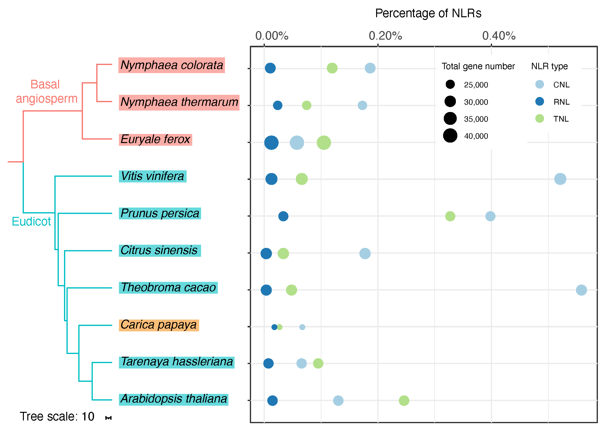 Agronomy 13 00970 g001
