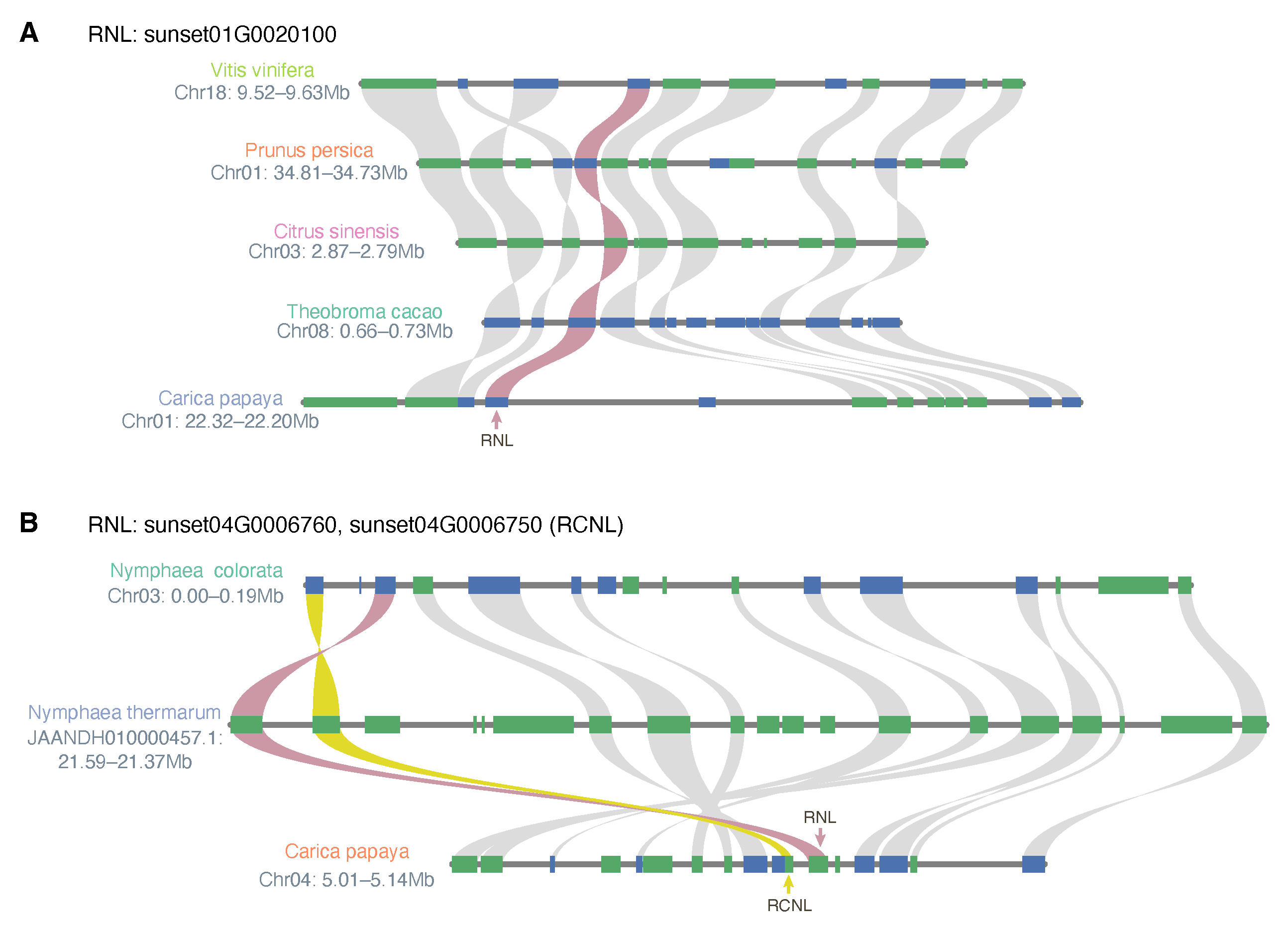 Agronomy 13 00970 g005