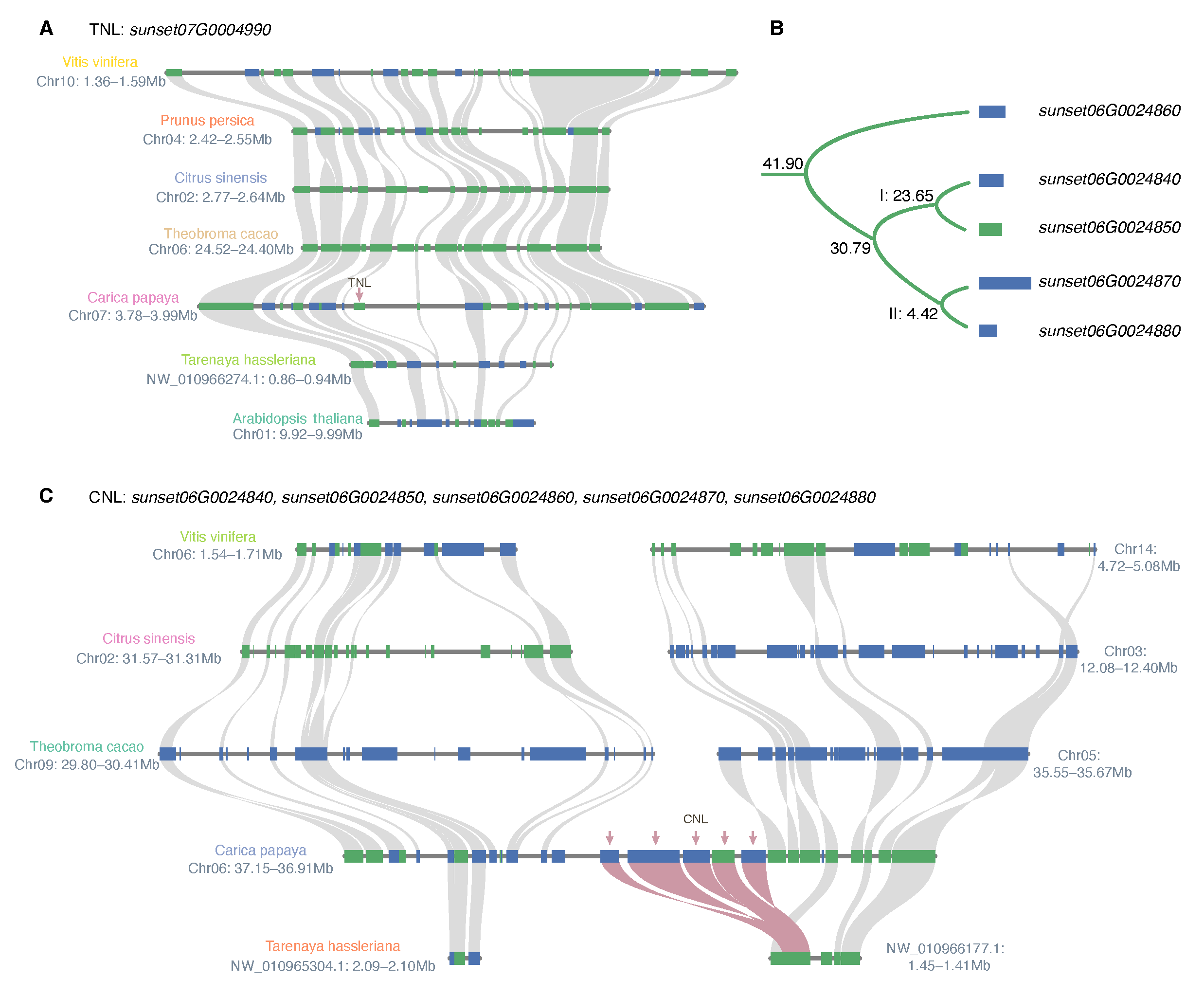 Agronomy 13 00970 g006