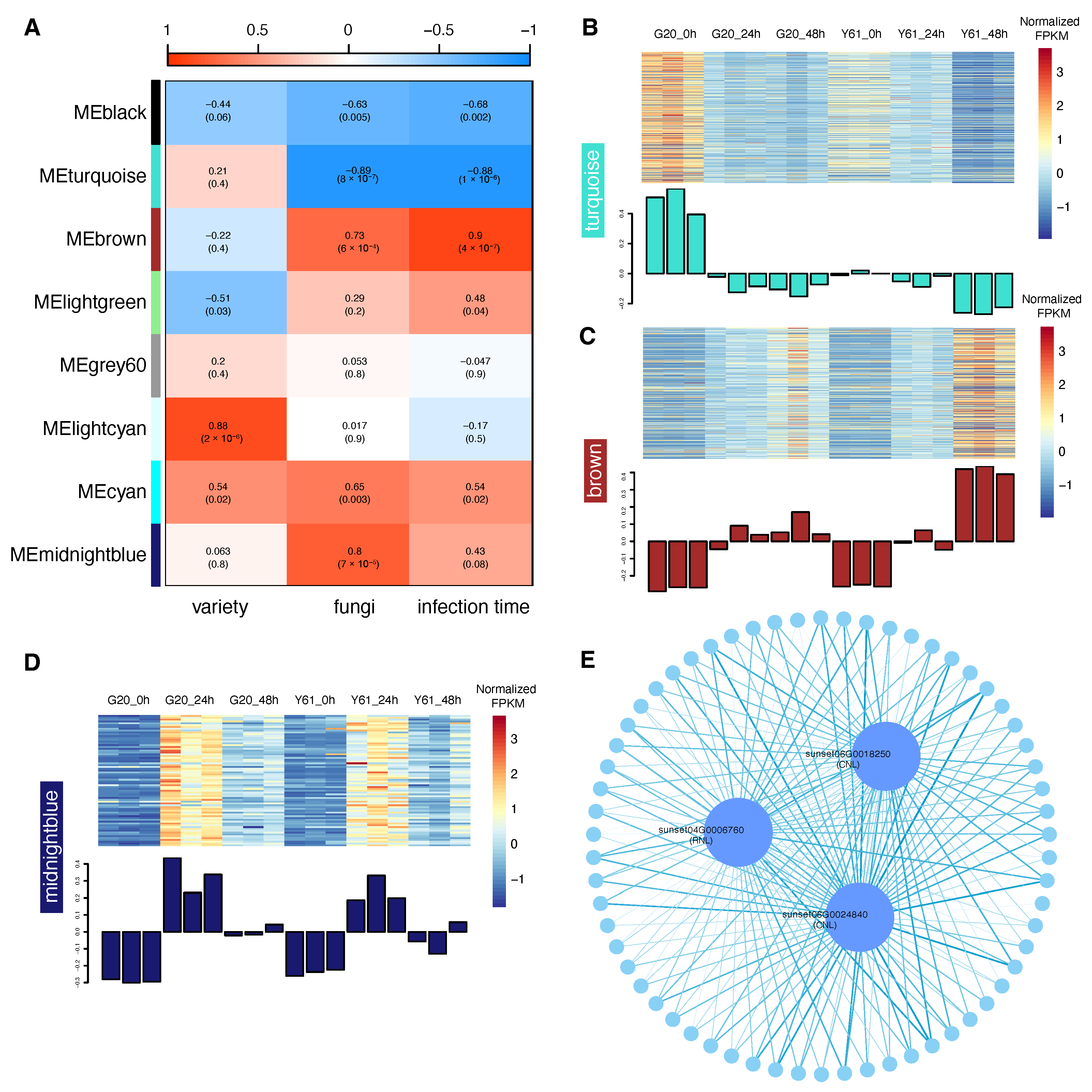 Agronomy 13 00970 g009