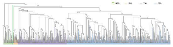 Agronomy 13 00970 g0a1
