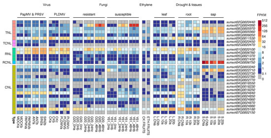 Agronomy 13 00970 g0a2