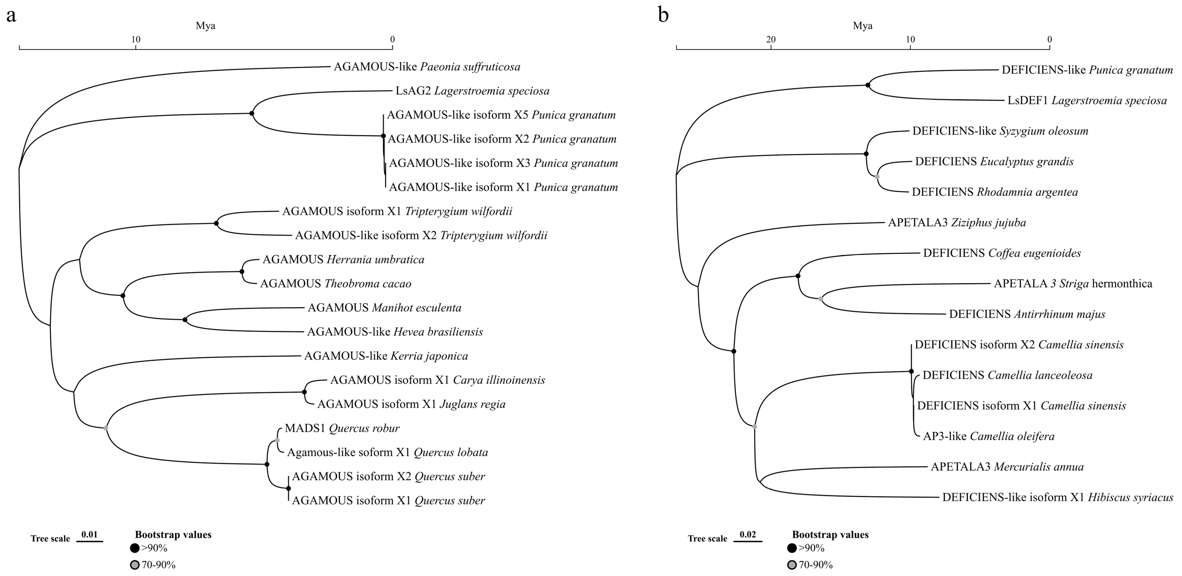 Agronomy 13 00976 g001
